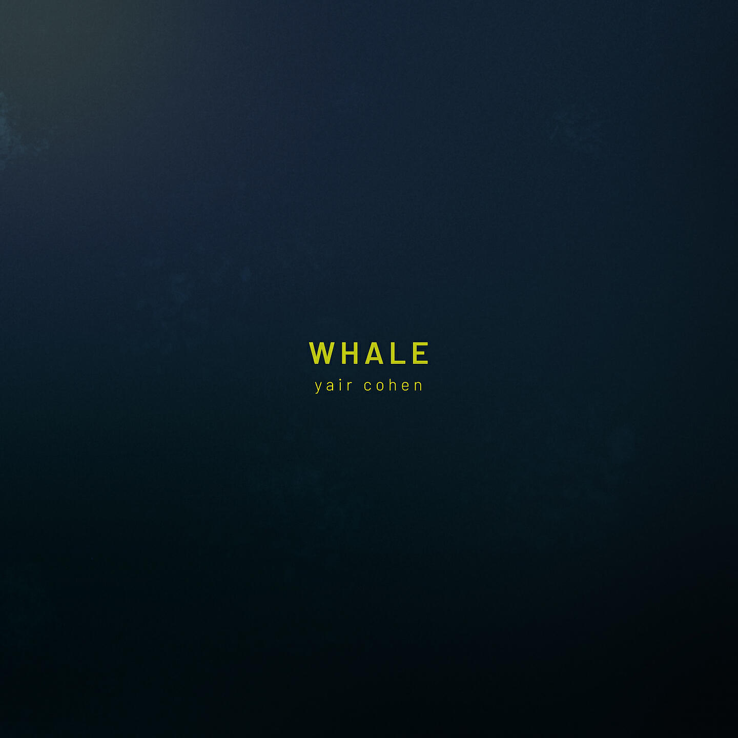 Yair Cohen - Whale