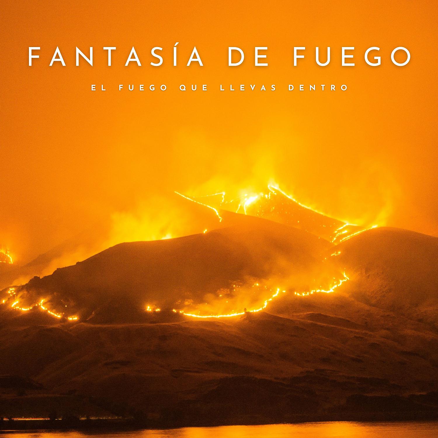 Постер альбома Fantasía De Fuego: El Fuego Que Llevas Dentro