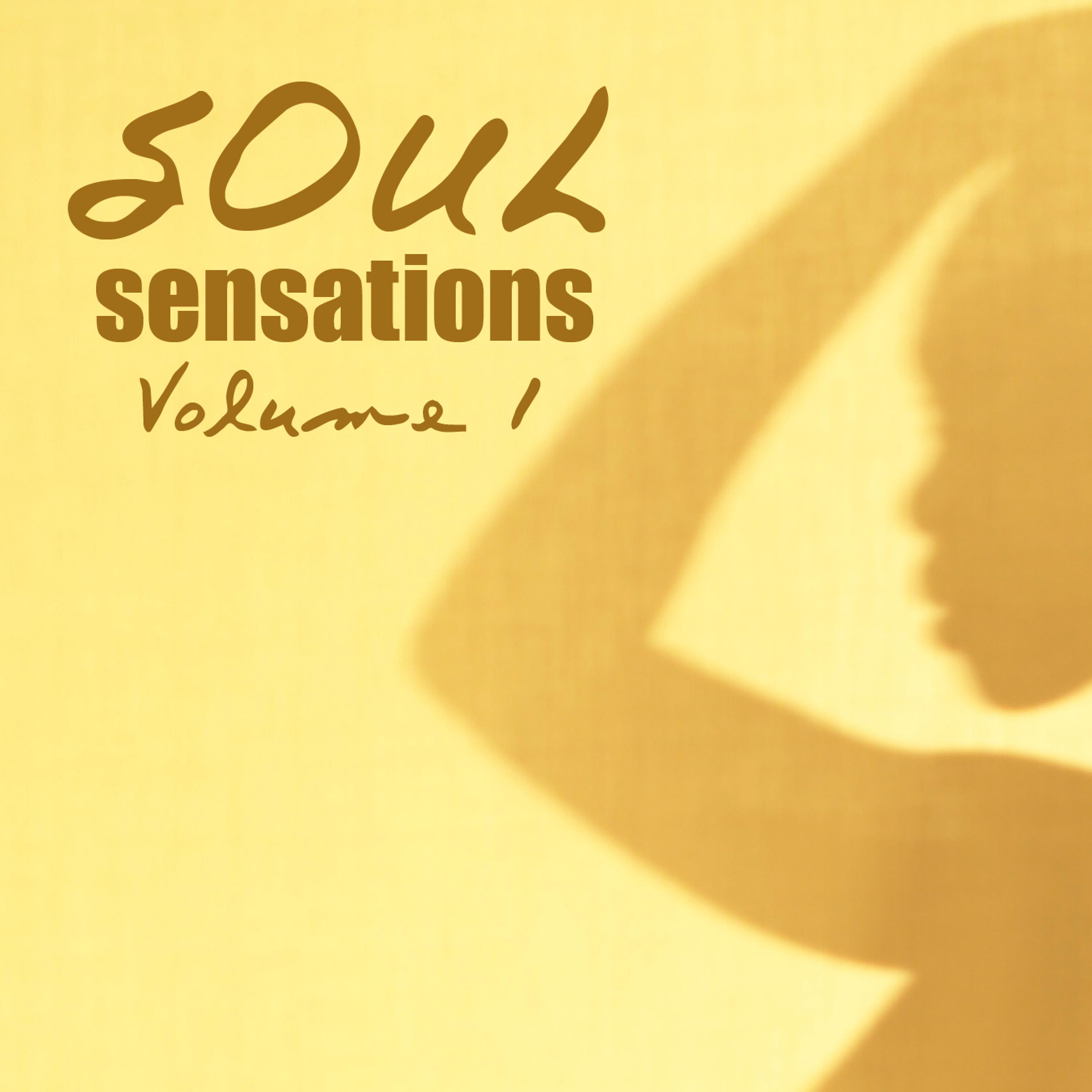 Постер альбома Soul Sensations Volume 1