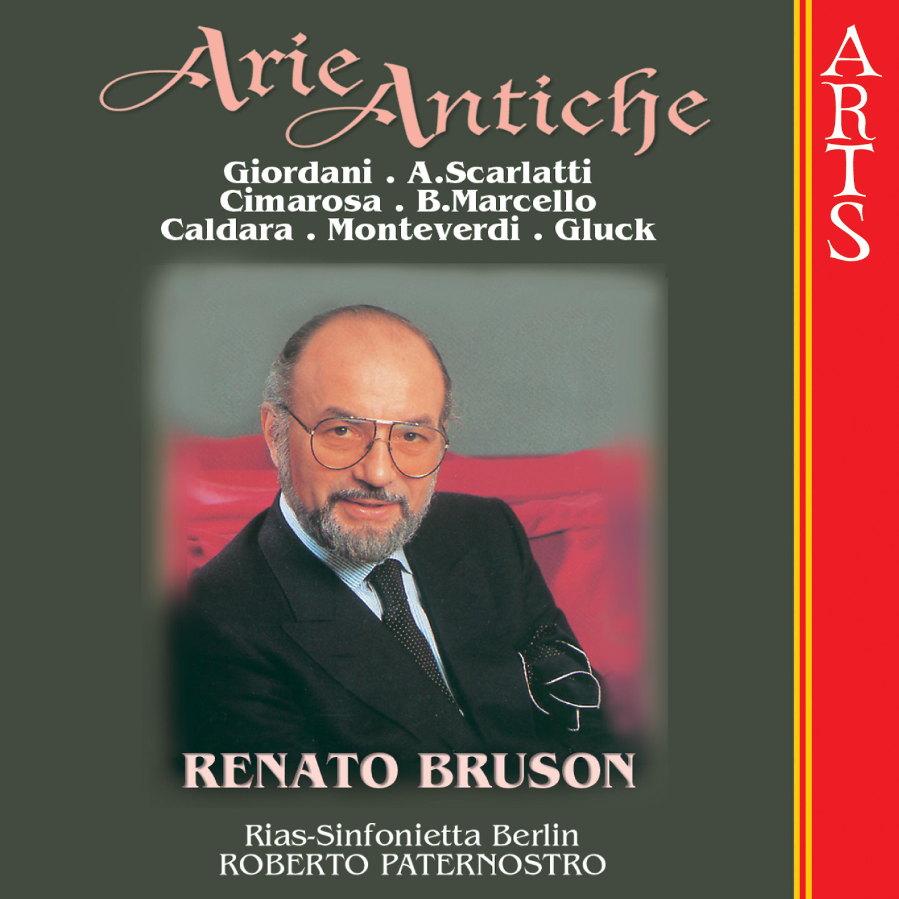 Постер альбома Arie antiche