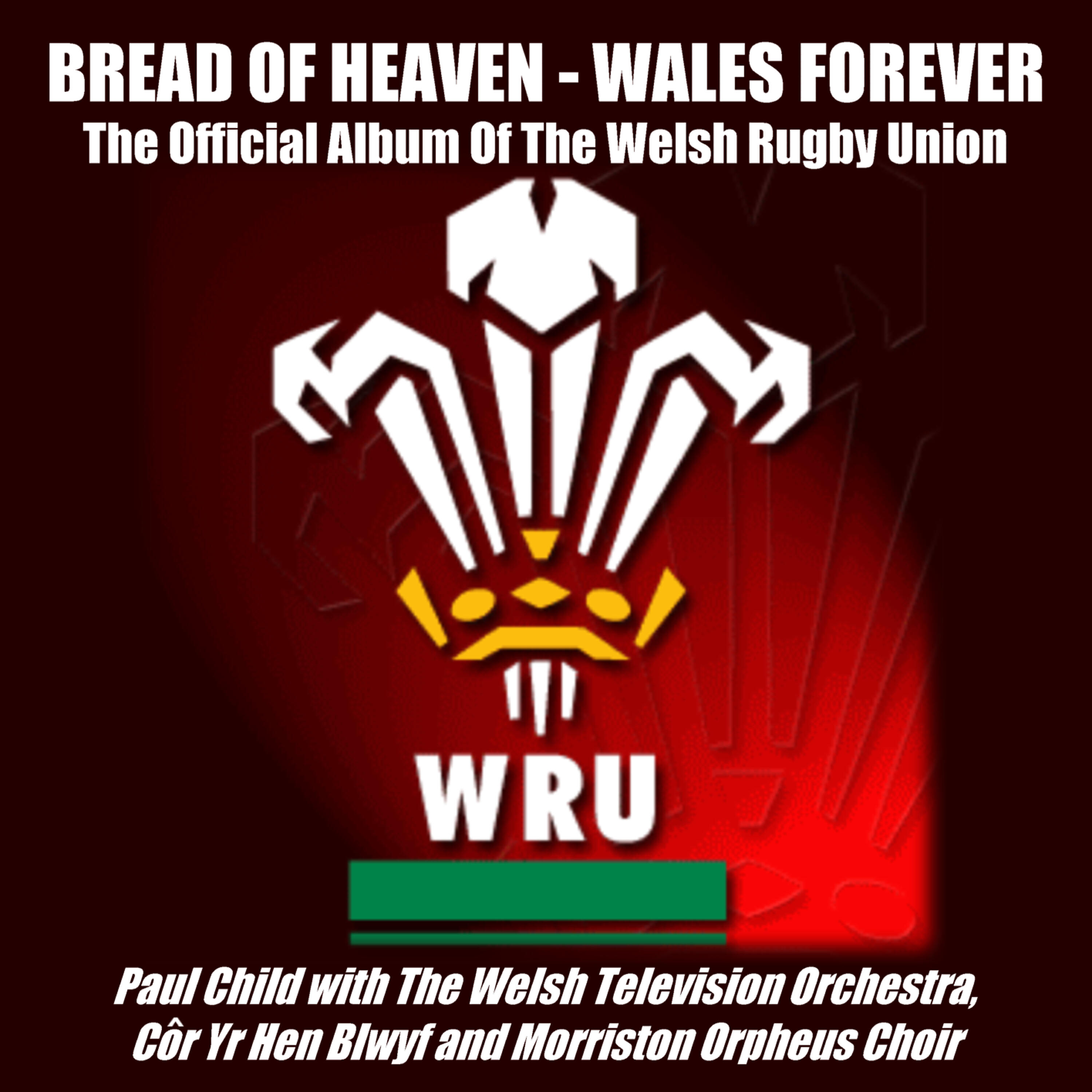 Morriston Orpheus Choir - Cwm Rhondda