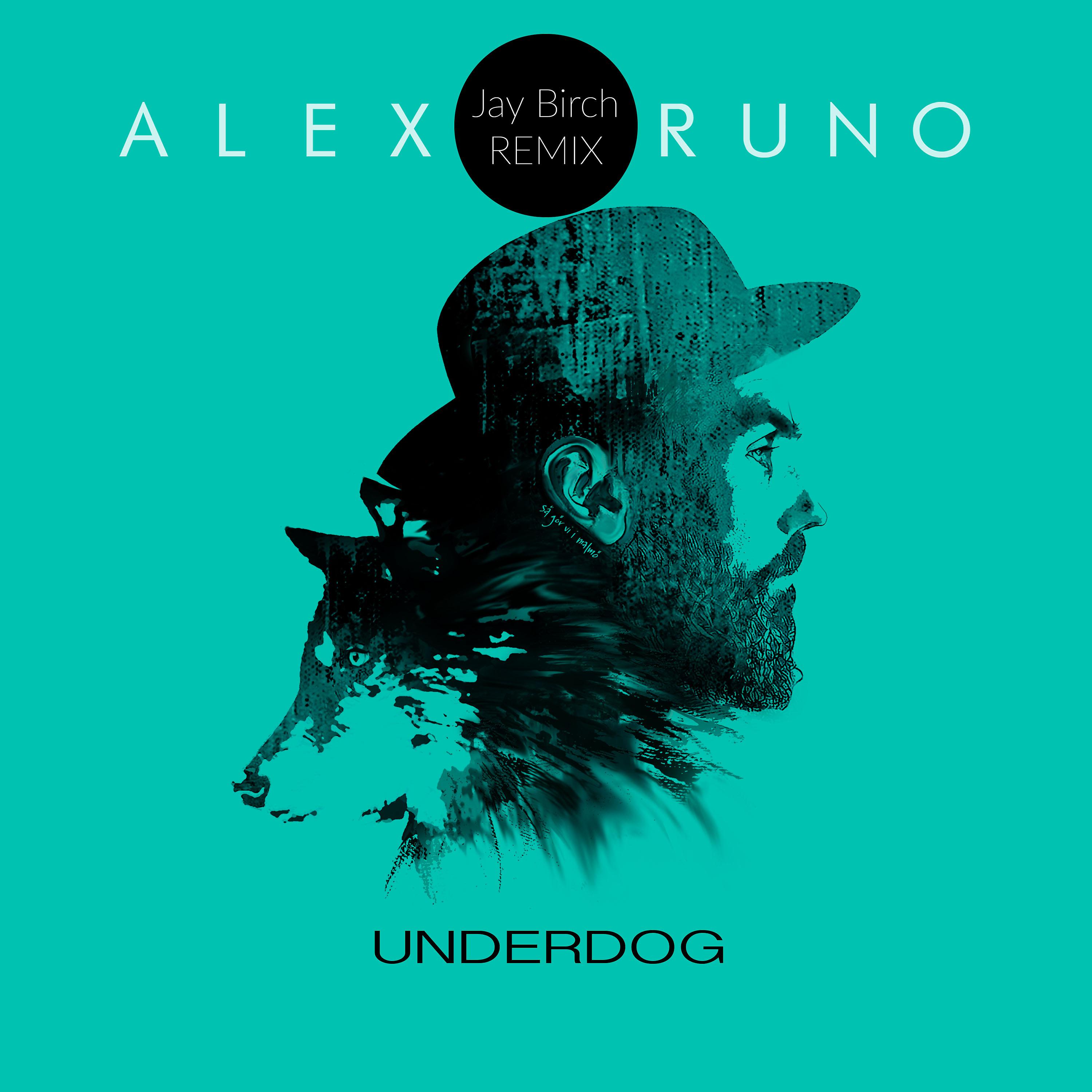 Постер альбома Underdog (Jay Birch Remix)