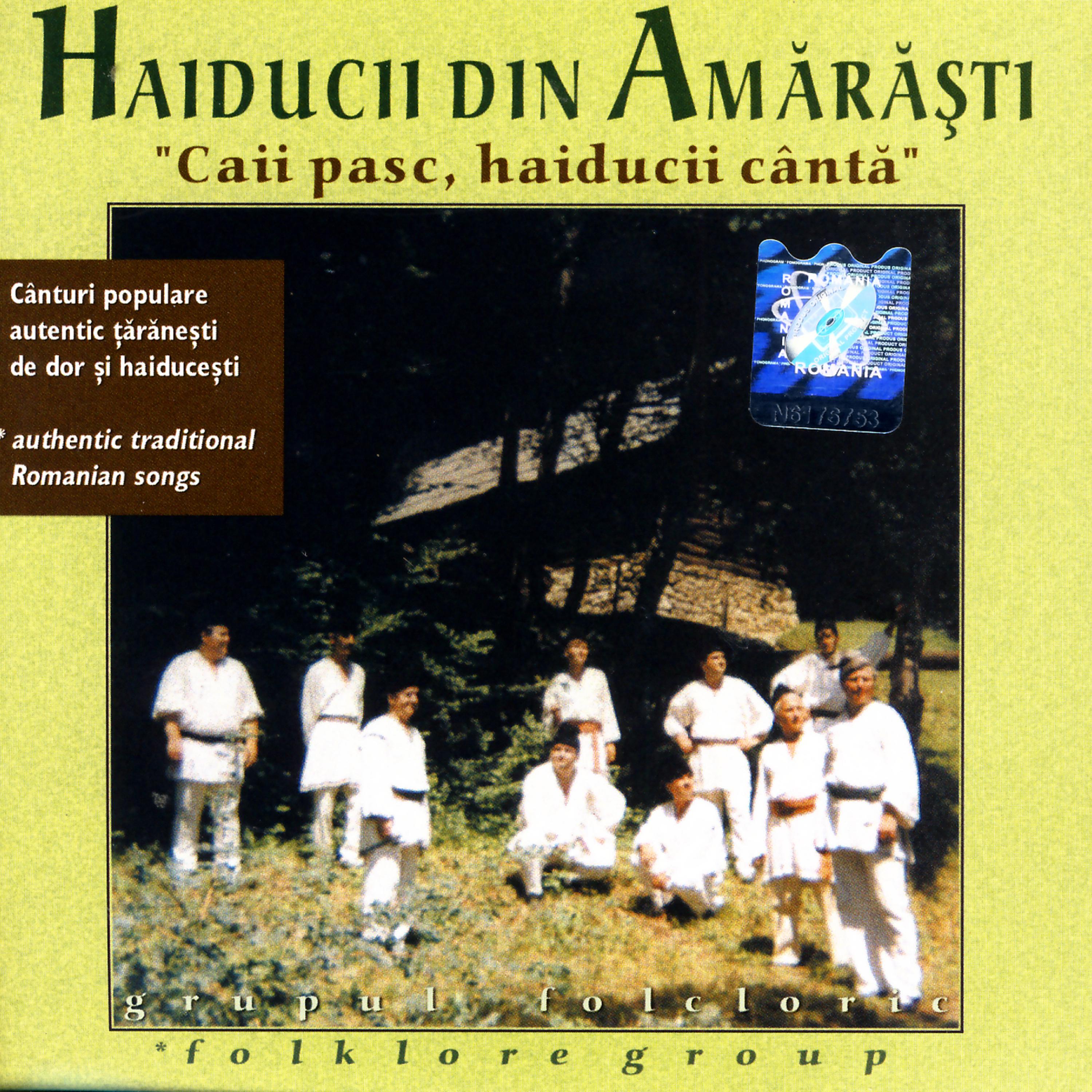 Haiducii din Amarasti - Ma Dusei In Camp Sa Ar (I Went To Plow The Field) (original)