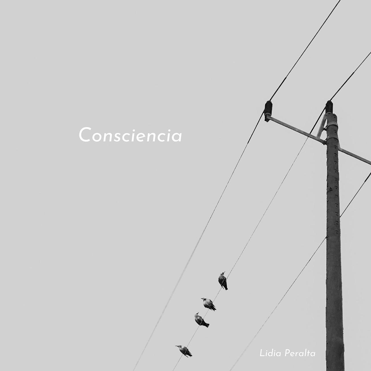 Постер альбома Consciencia