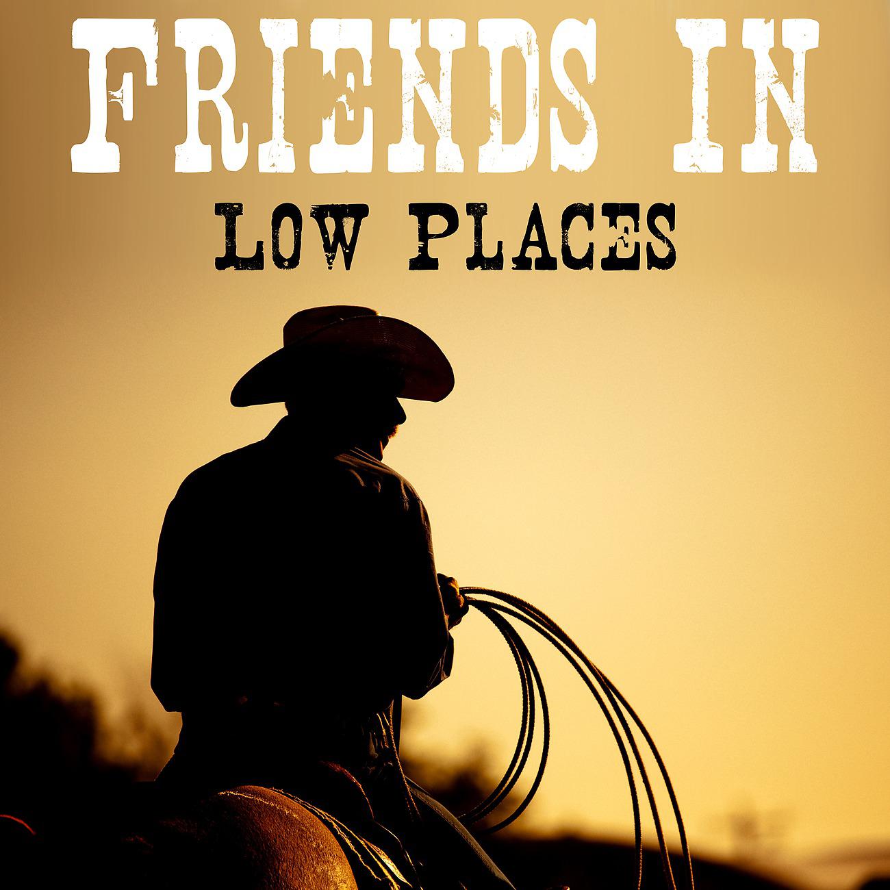 Постер альбома Friends in Low Places