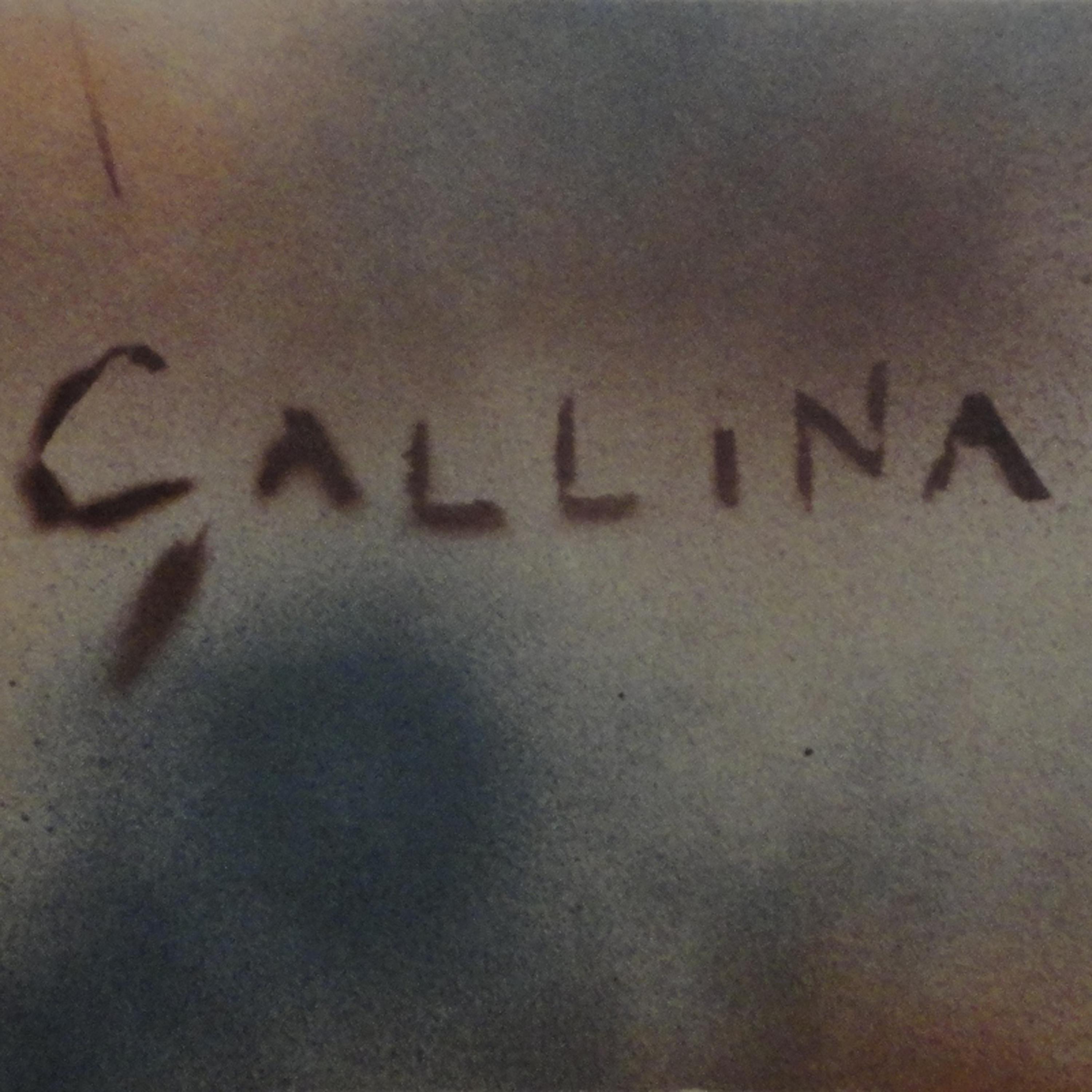 Постер альбома Gallina