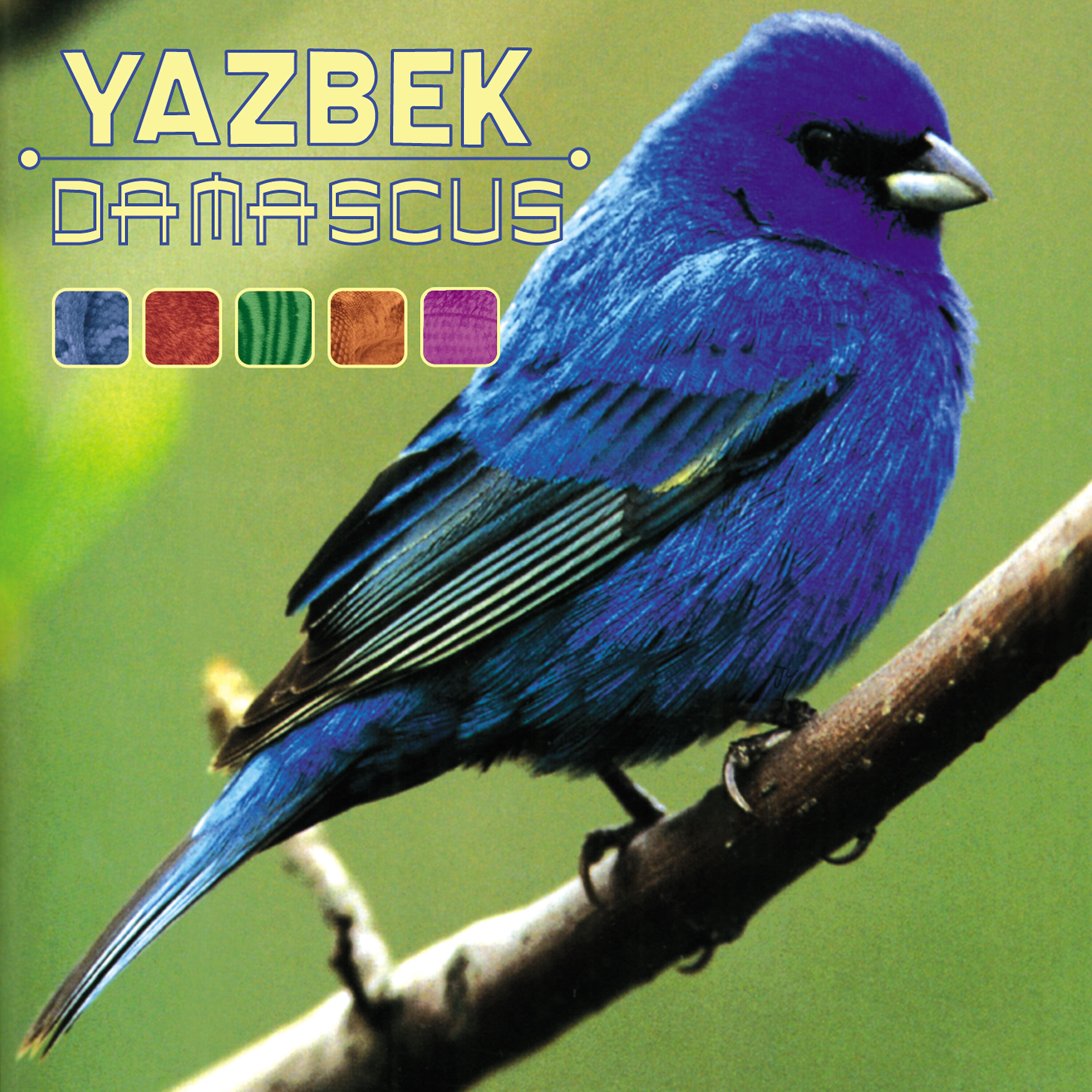 David Yazbek - Sandy Koufax
