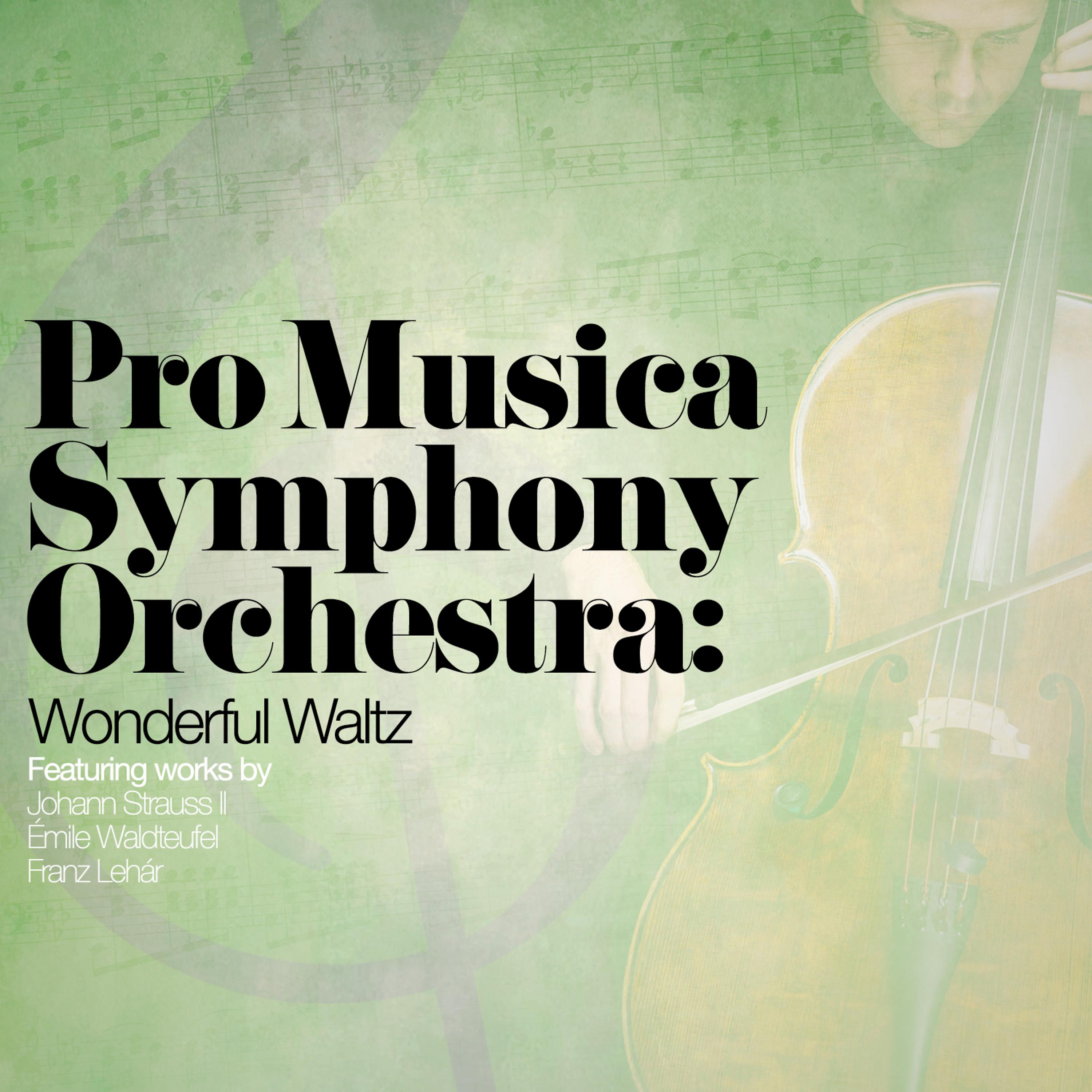 Постер альбома Pro Musica Symphony Orchestra: Wonderful Waltz