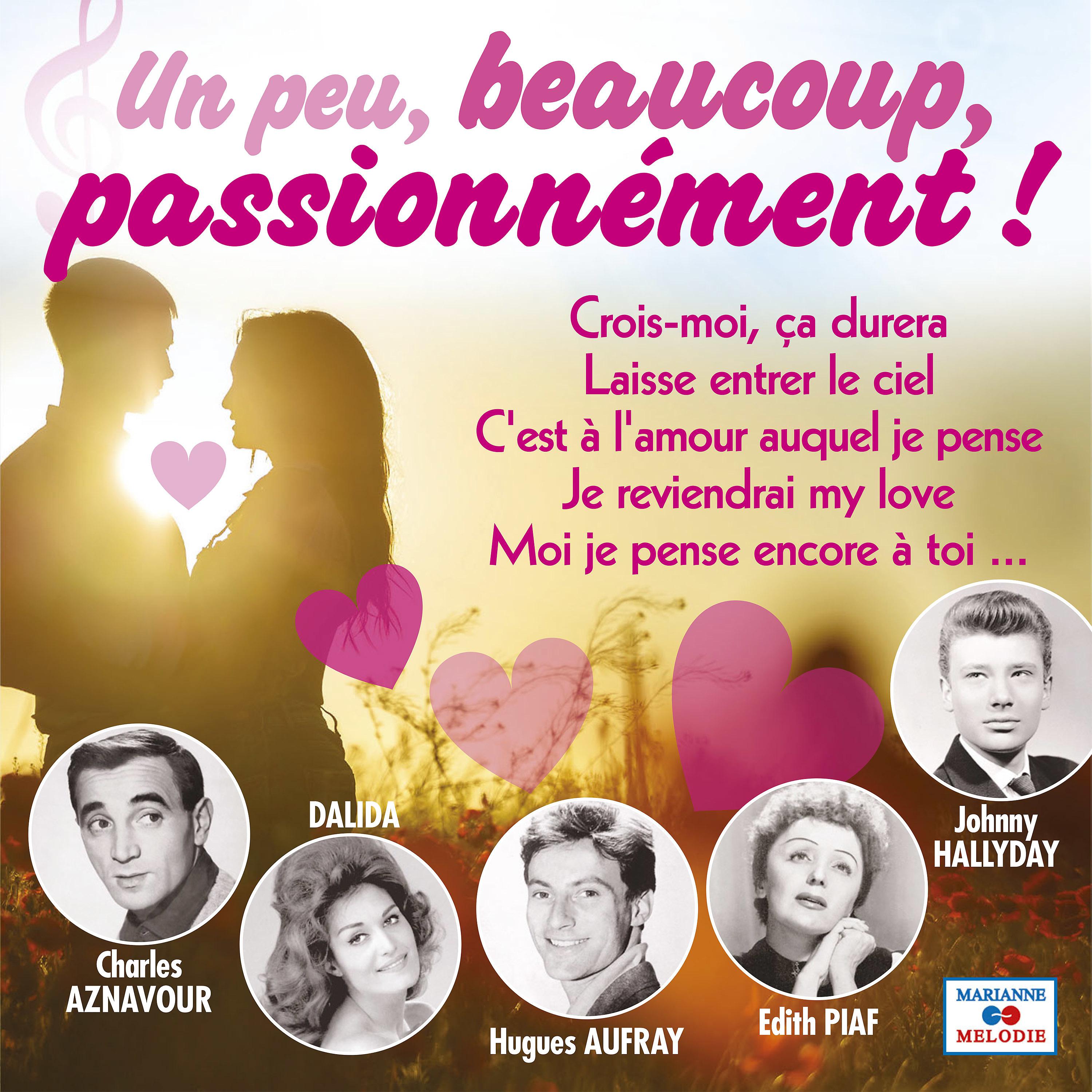 Постер альбома Un peu, beaucoup, passionnément !