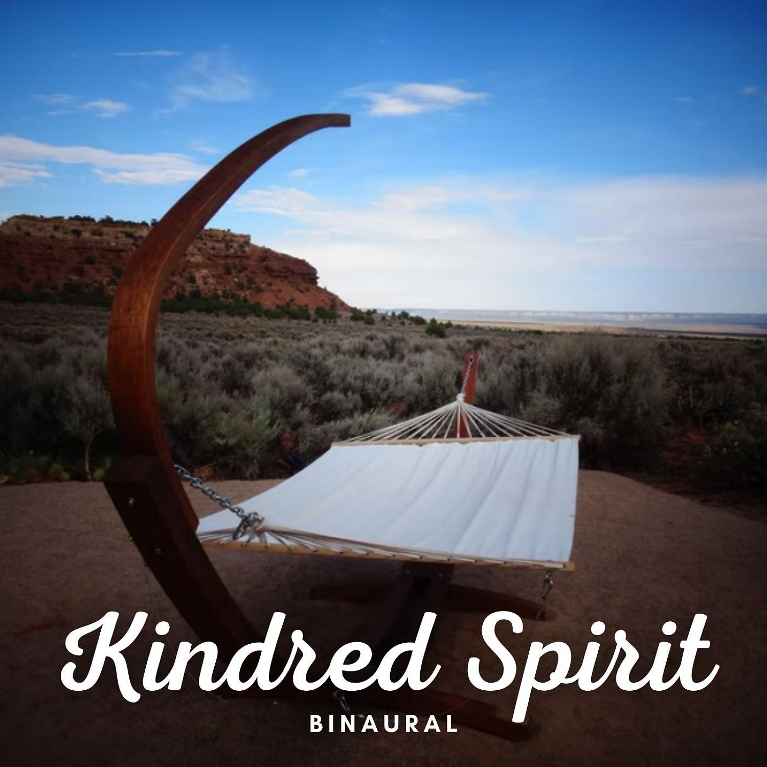 Постер альбома Binaural: Kindred Spirit