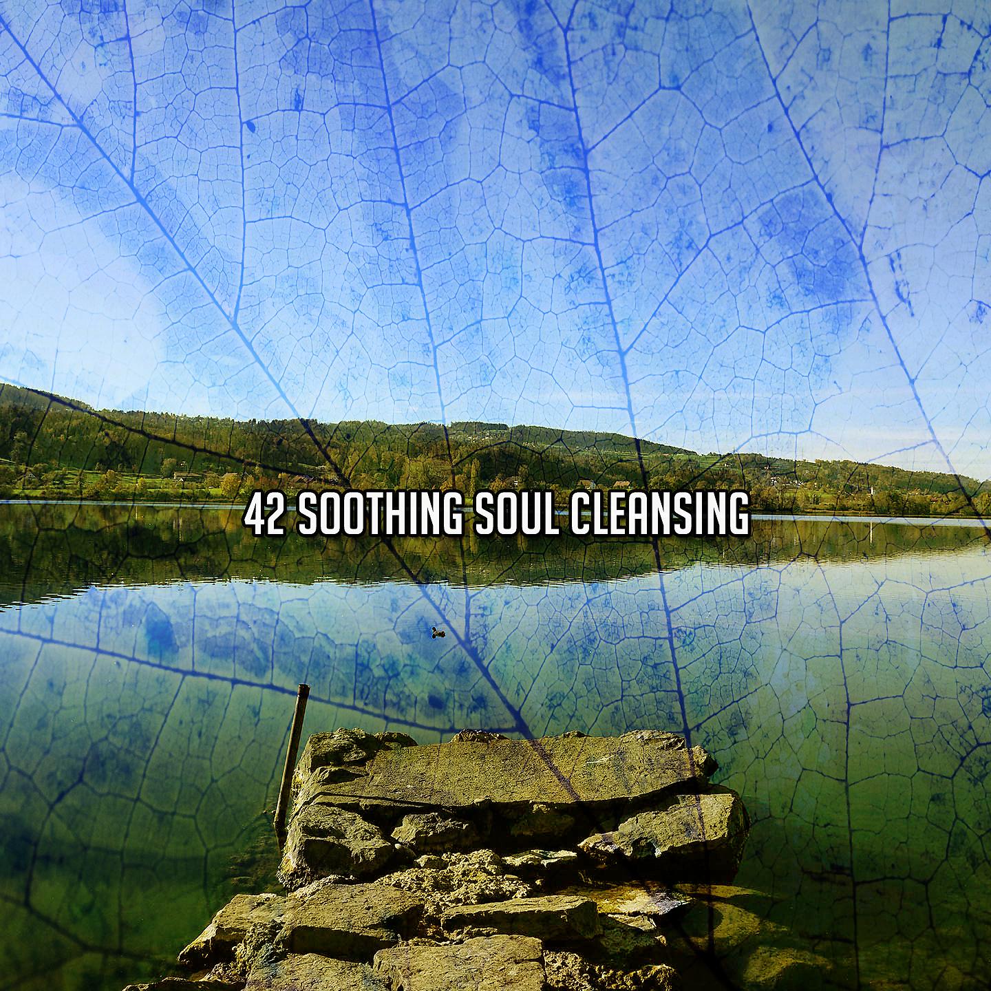 Постер альбома 42 Успокаивающее очищение души