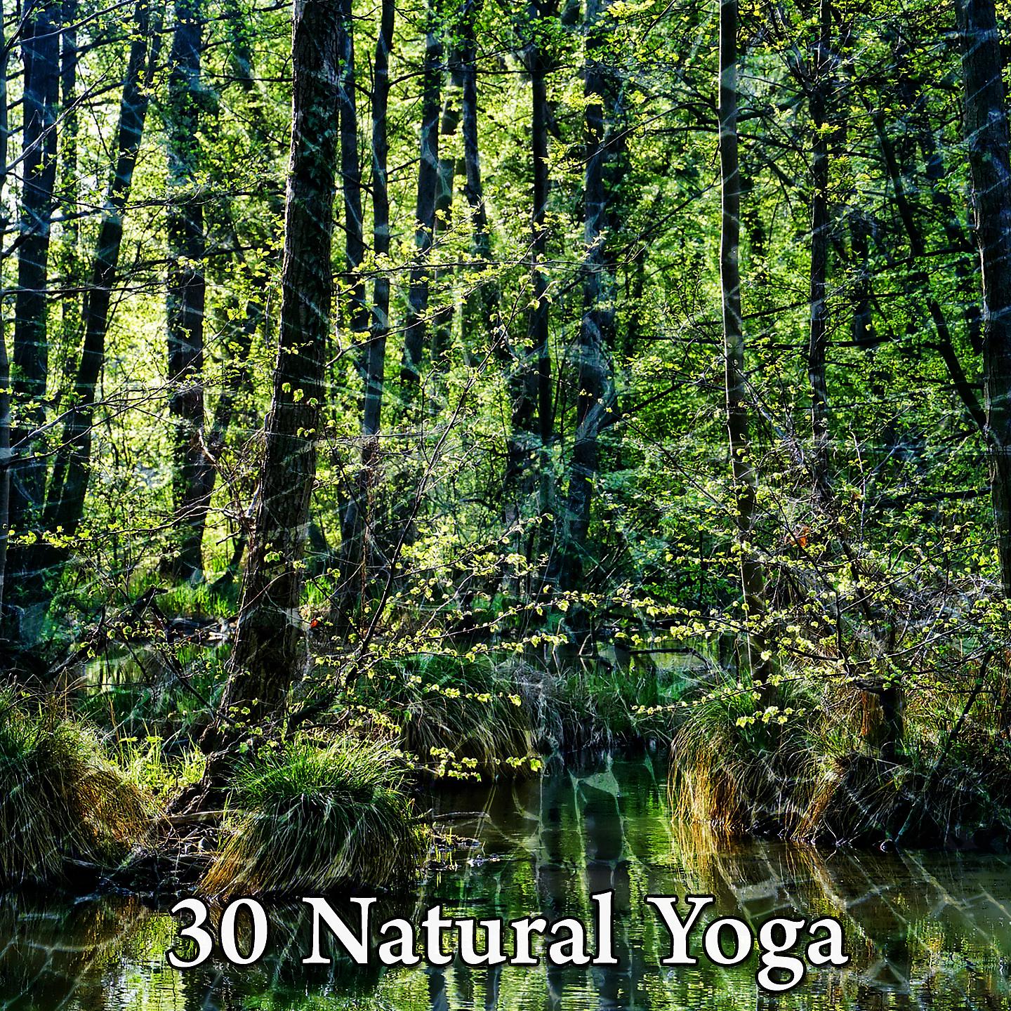 Постер альбома 30 Натуральная йога