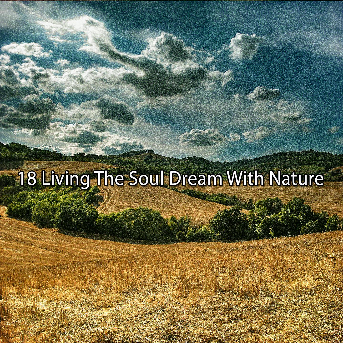 Постер альбома 18 Жизнь мечты души с природой