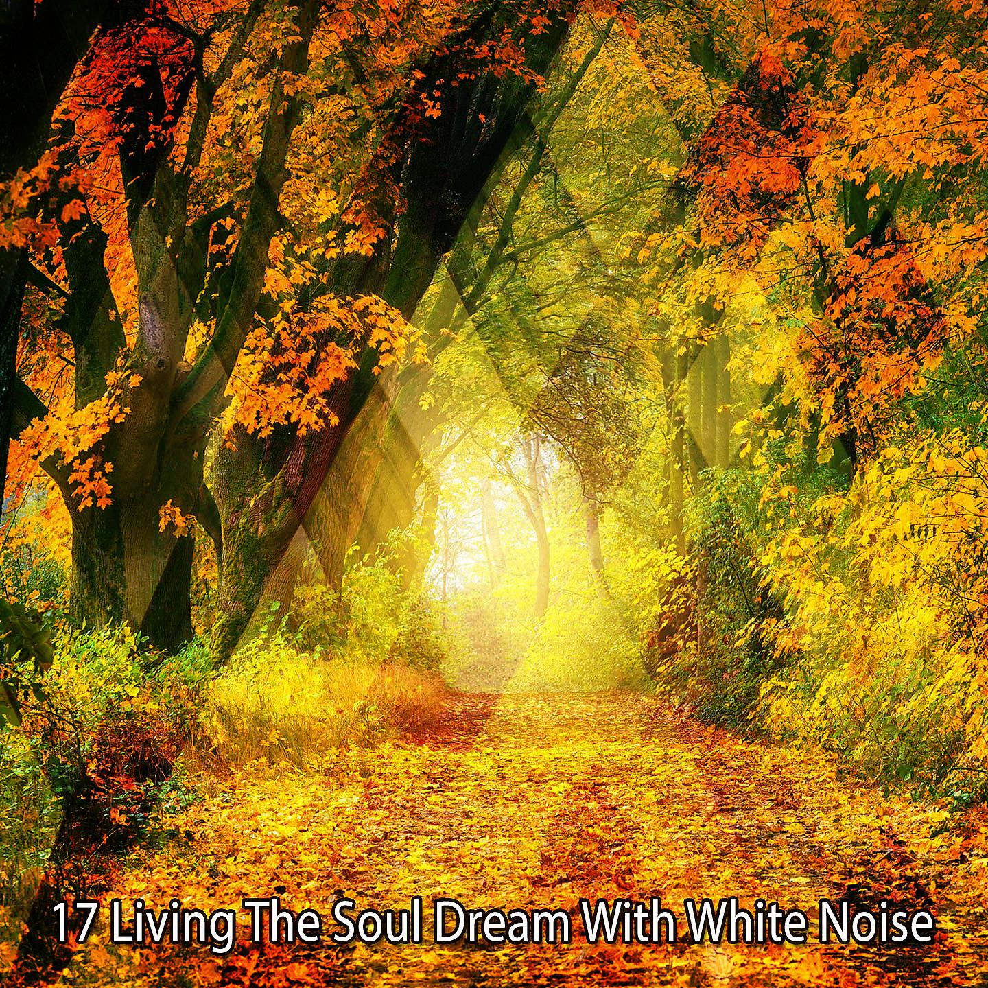 Постер альбома 17 Жизнь мечты души с белым шумом