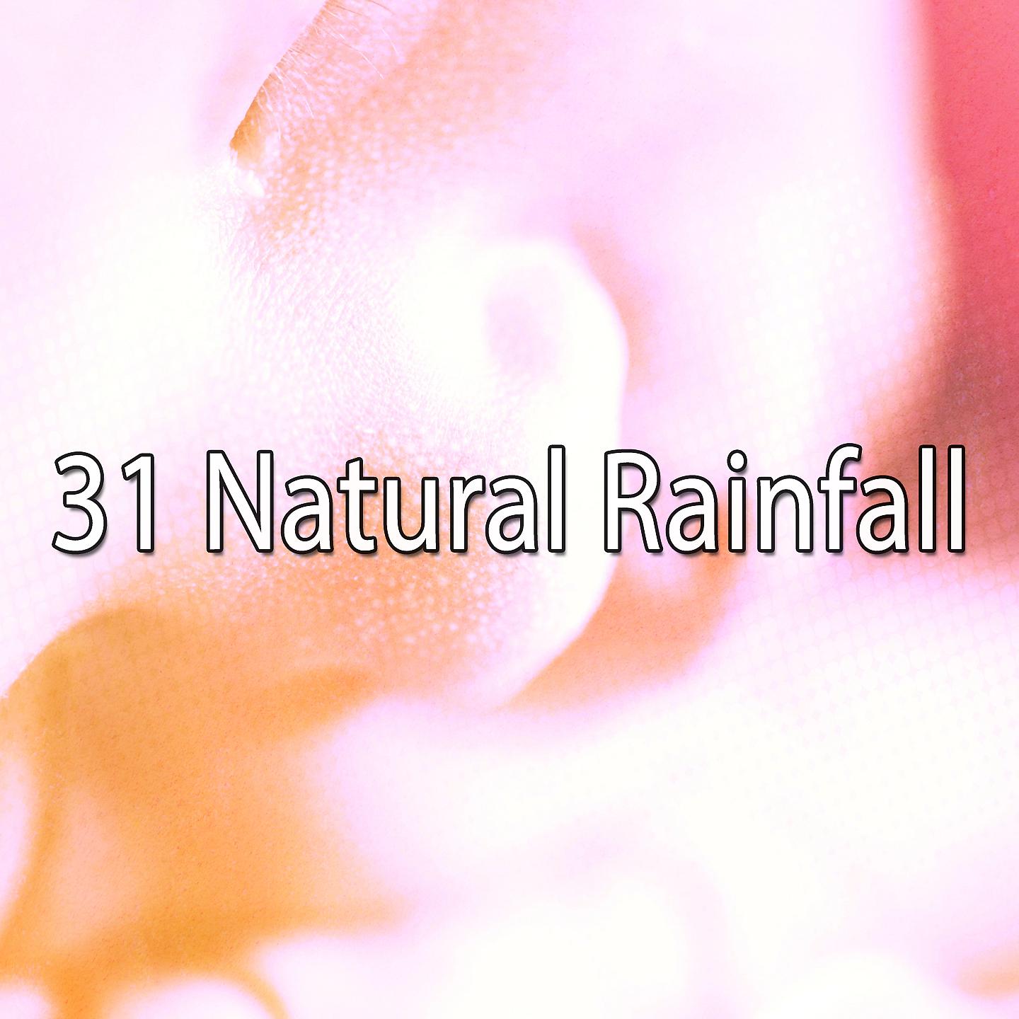 Постер альбома 31 Естественный дождь