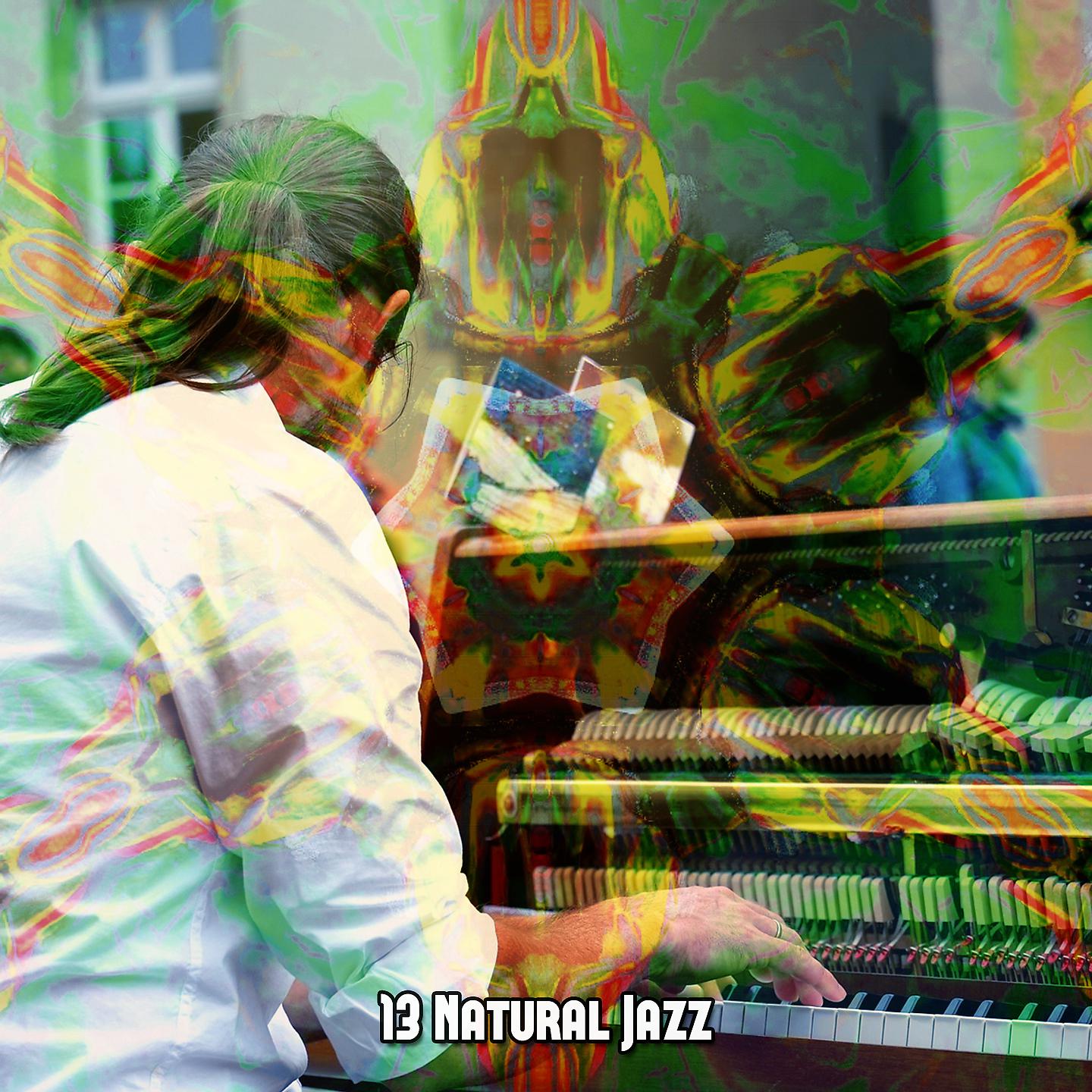 Постер альбома 13 натуральный джаз