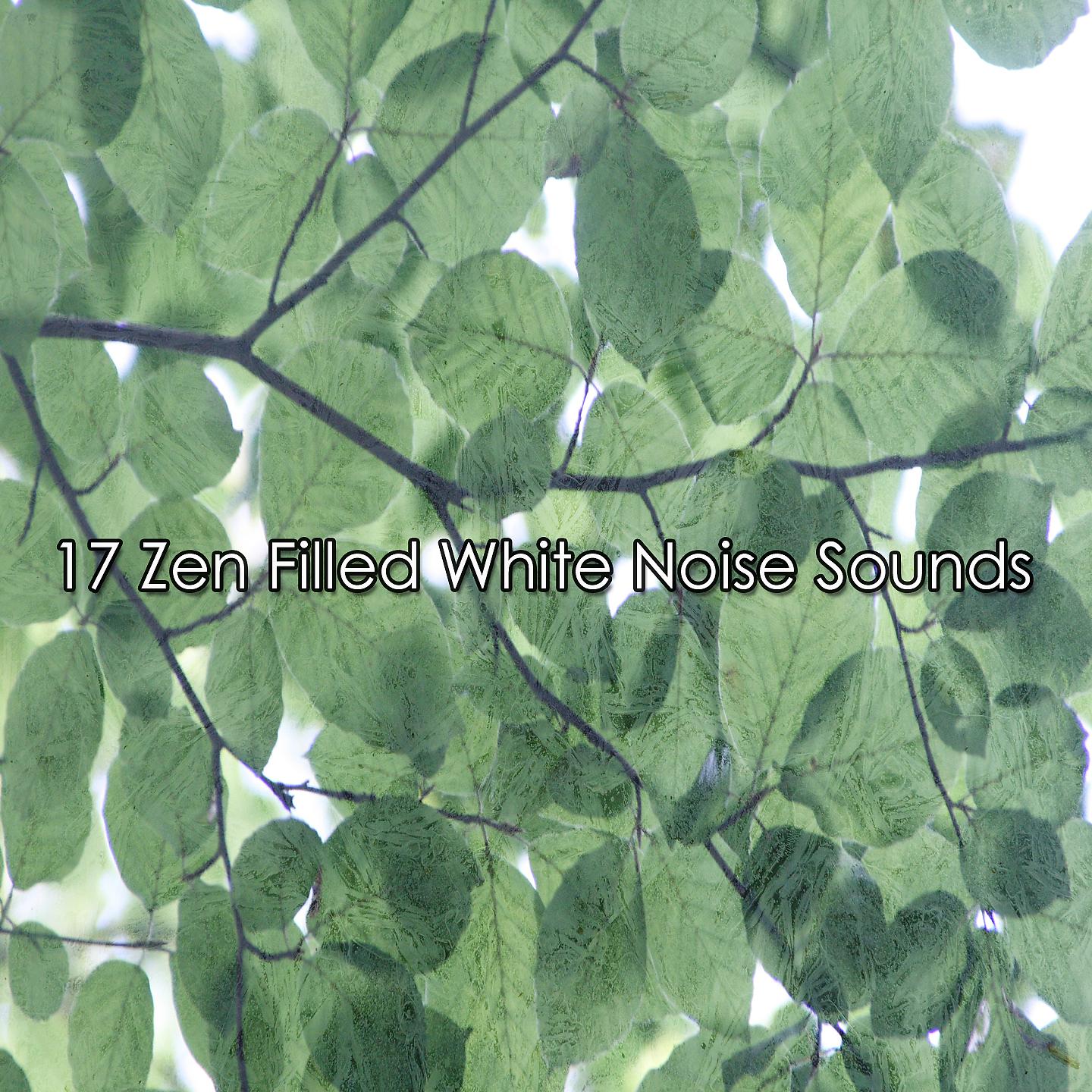 Постер альбома 17 Zen Filled White Noise Sounds