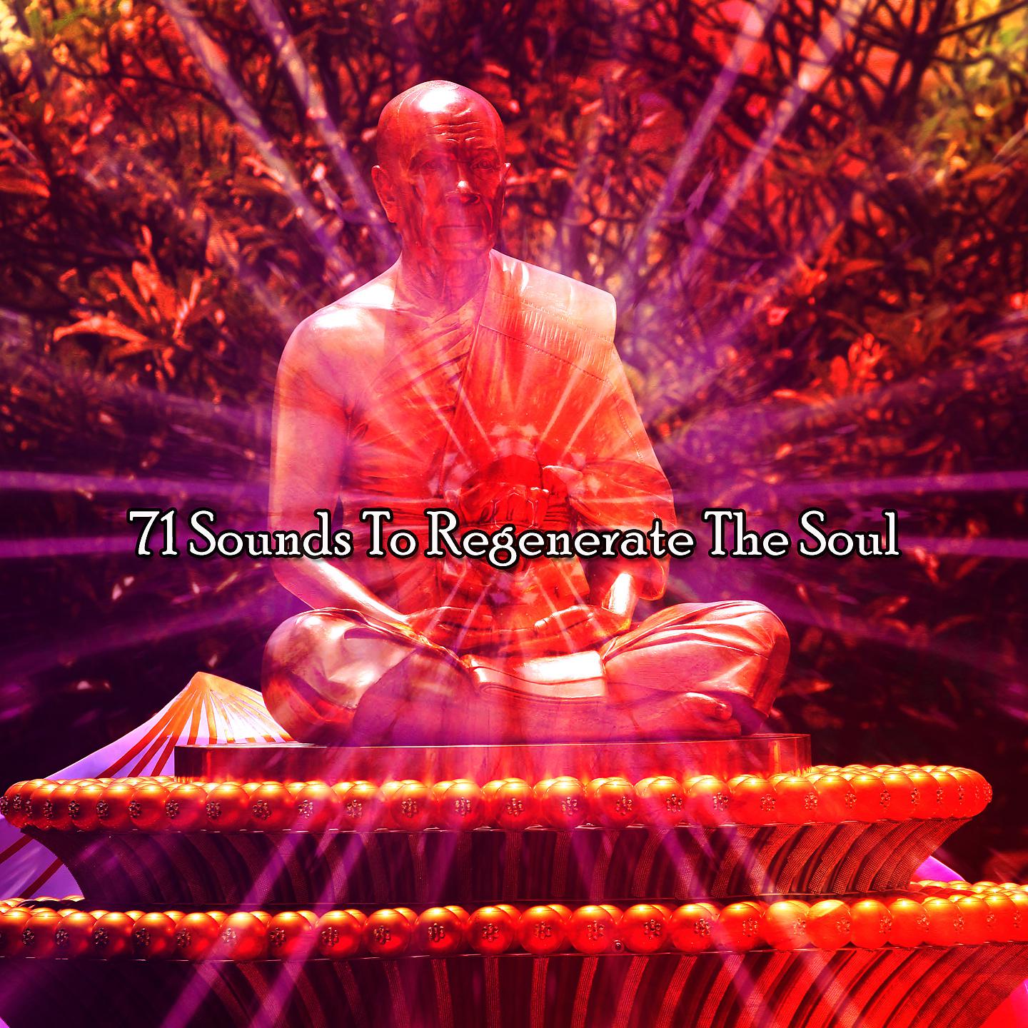 Постер альбома 71 Sounds To Regenerate The Soul