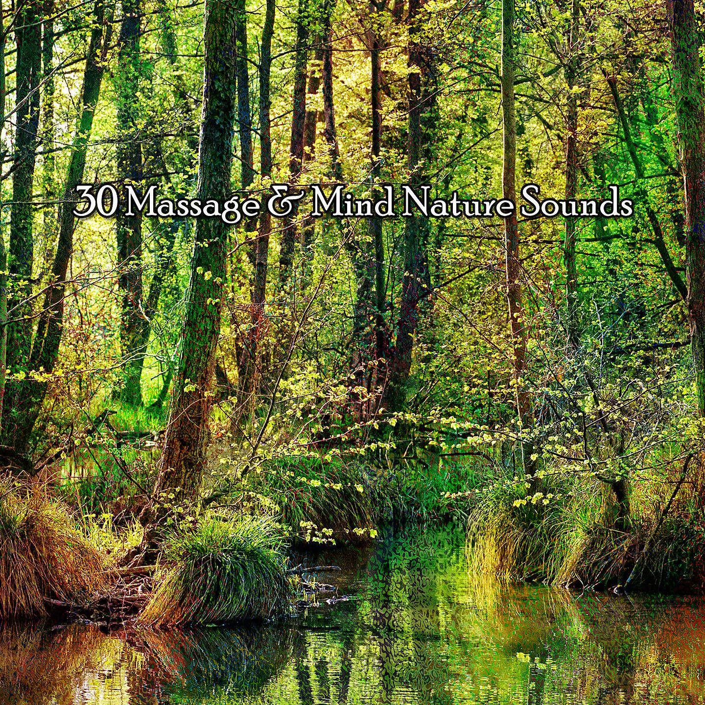 Постер альбома 30 массажей и звуков природы