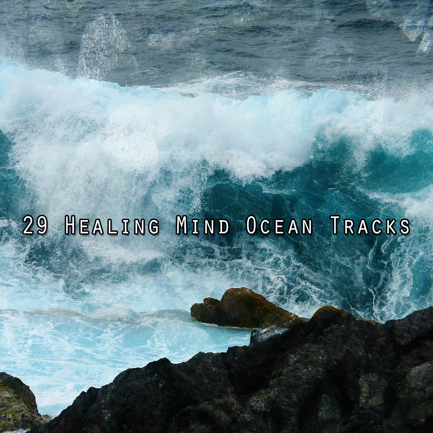 Постер альбома 29 треков исцеляющего разума океана