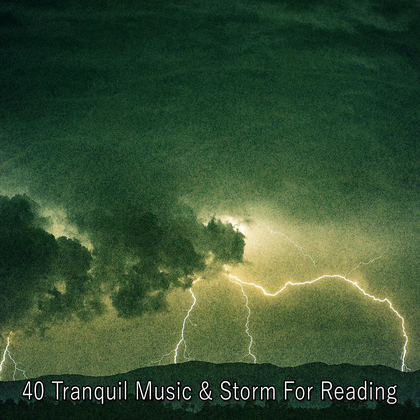 Постер альбома 40 Спокойная музыка и шторм для чтения