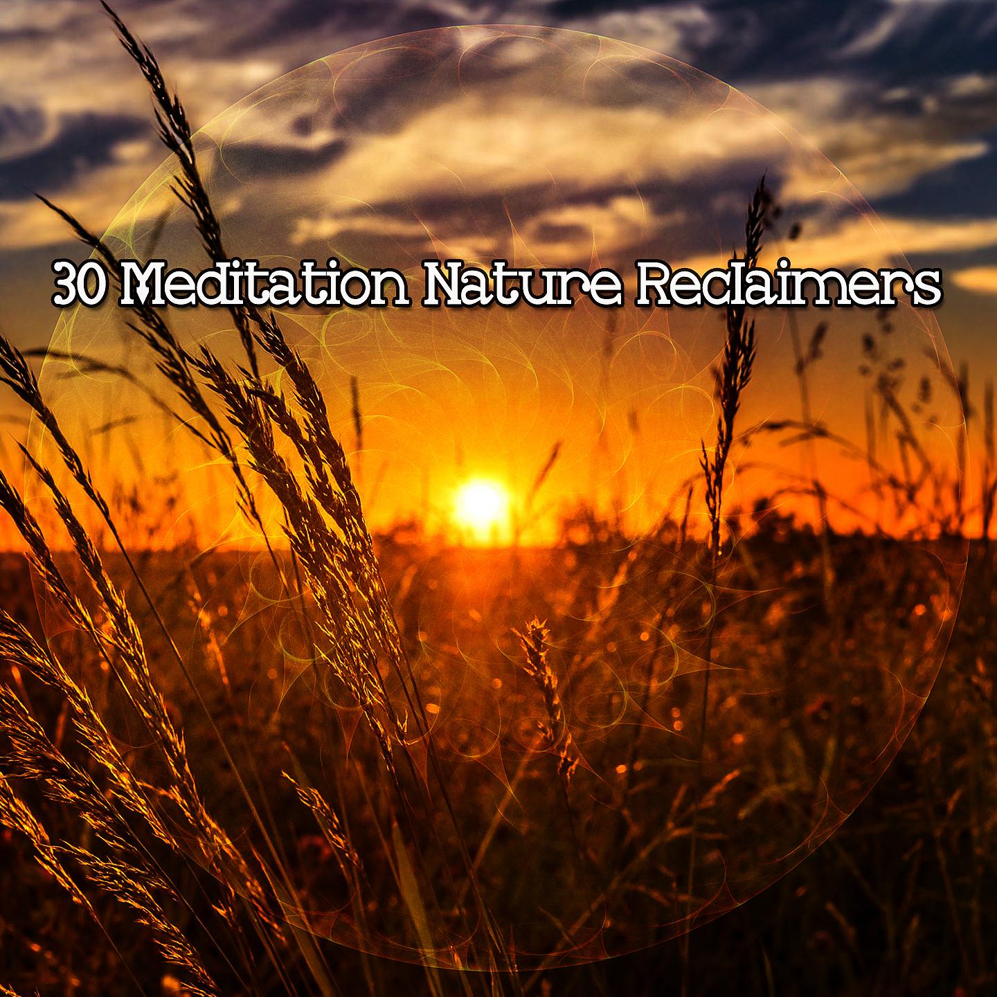 Постер альбома 30 медитаций, восстанавливающих природу