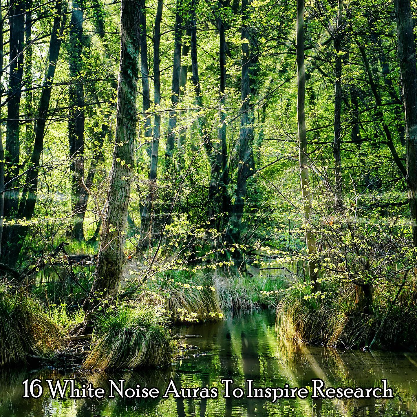 Постер альбома !!!! 16 аур белого шума, которые вдохновят на исследования !!!!