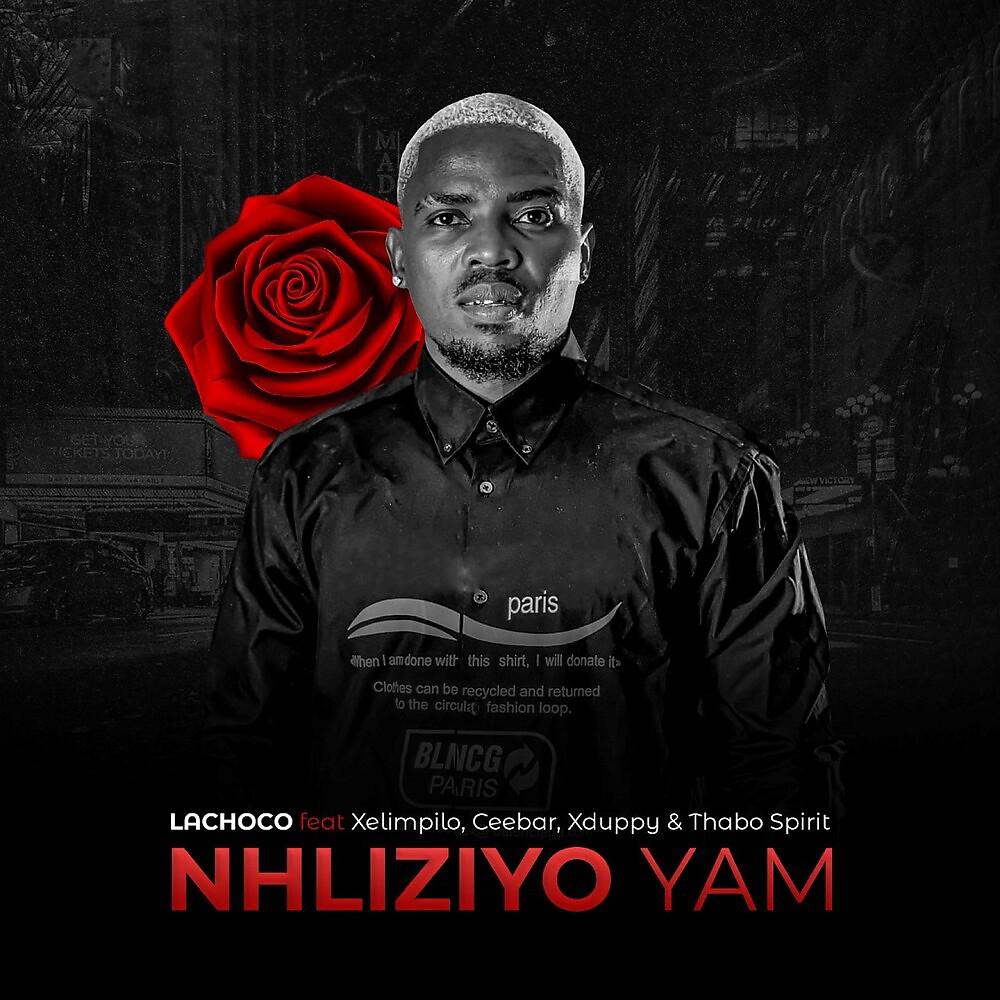 Постер альбома Nhliziyo Yam