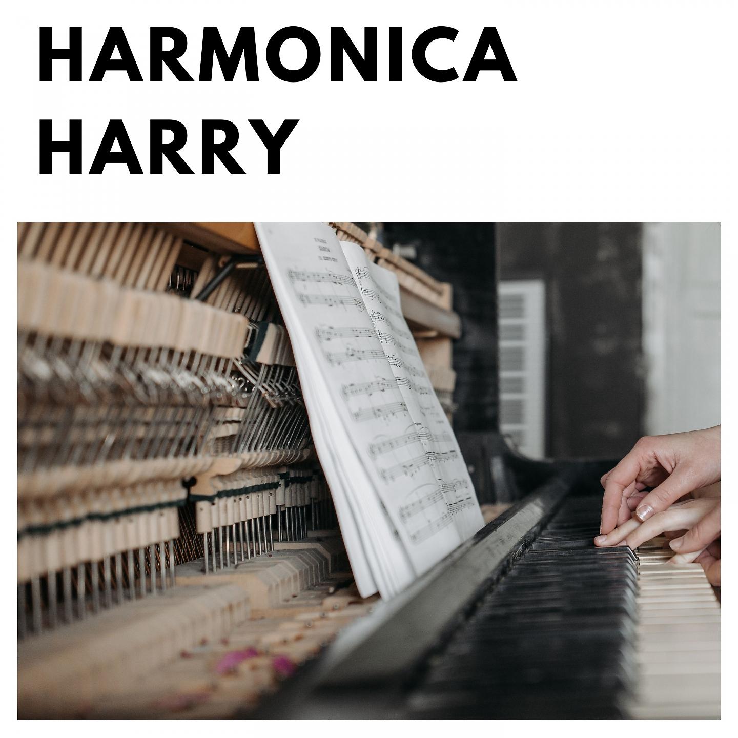 Постер альбома Harmonica Harry