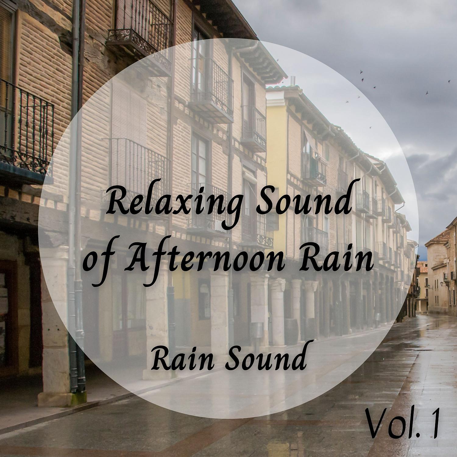 Постер альбома Rain Sound: Relaxing Sound of Afternoon Rain Vol. 1