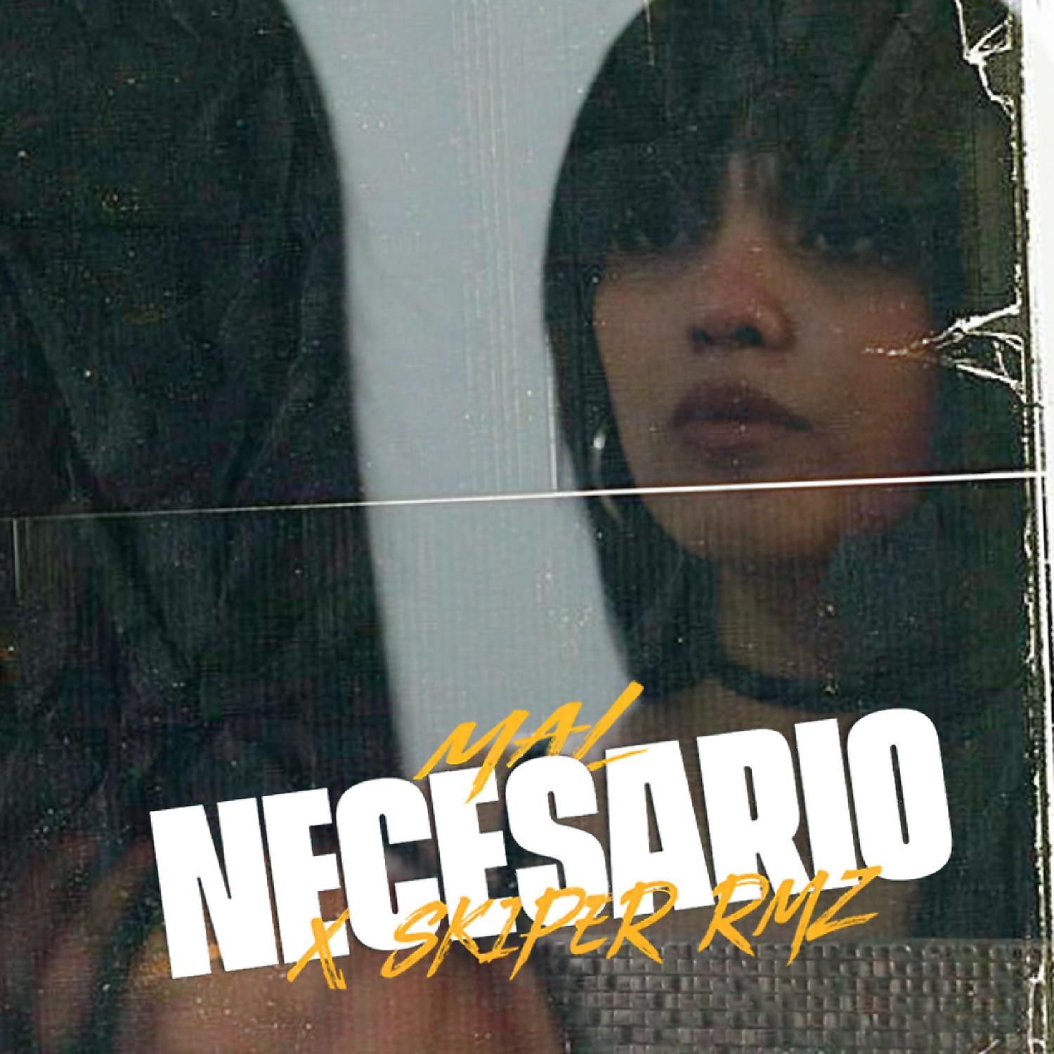 Постер альбома Mal Necesario