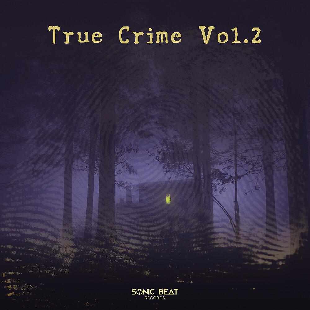 Постер альбома True Crime, Vol.2