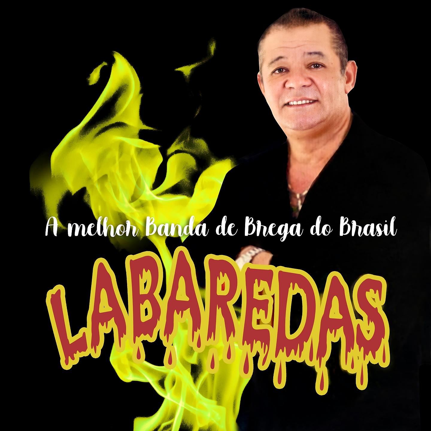Постер альбома A Melhor Banda de Brega do Brasil
