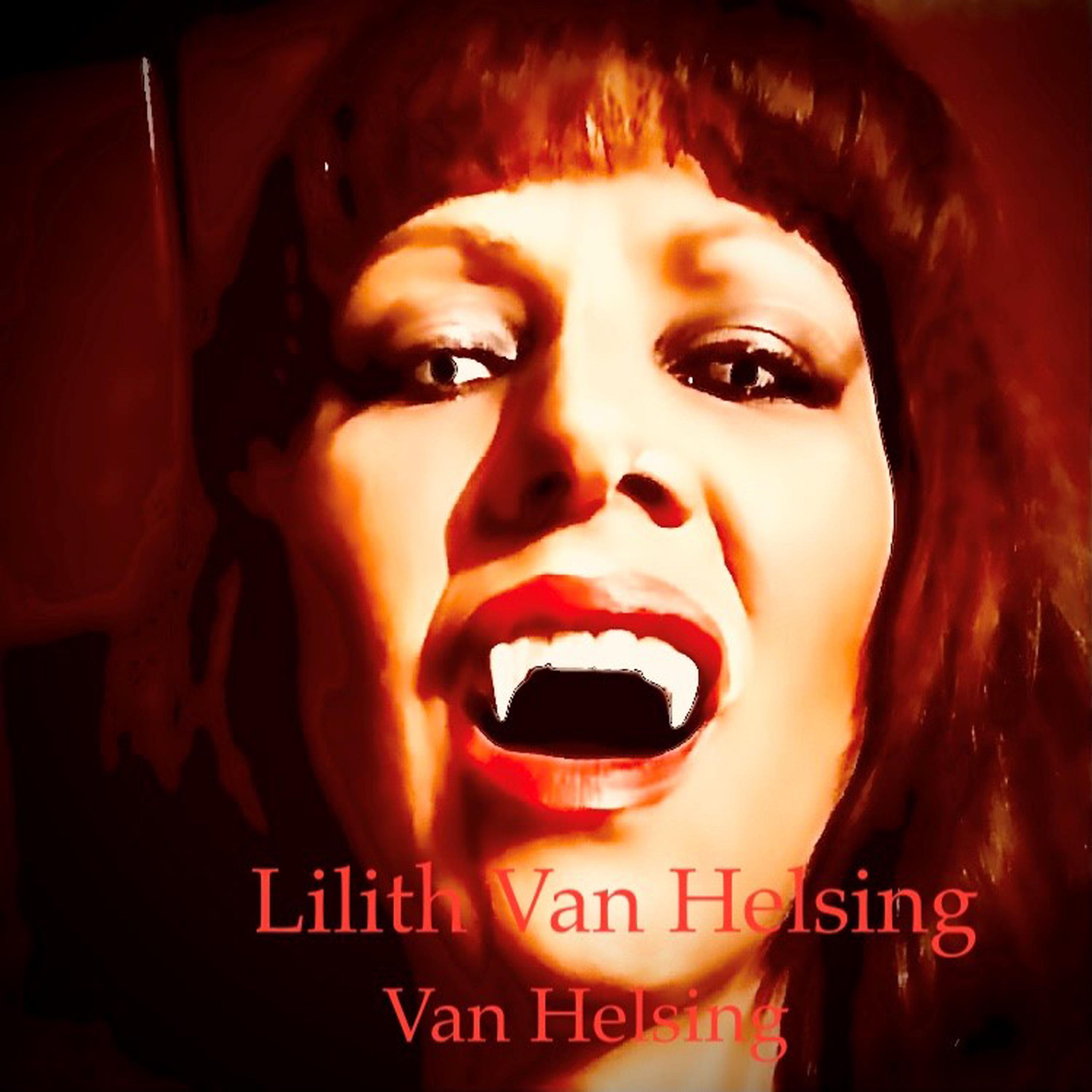 Постер альбома Van Helsing