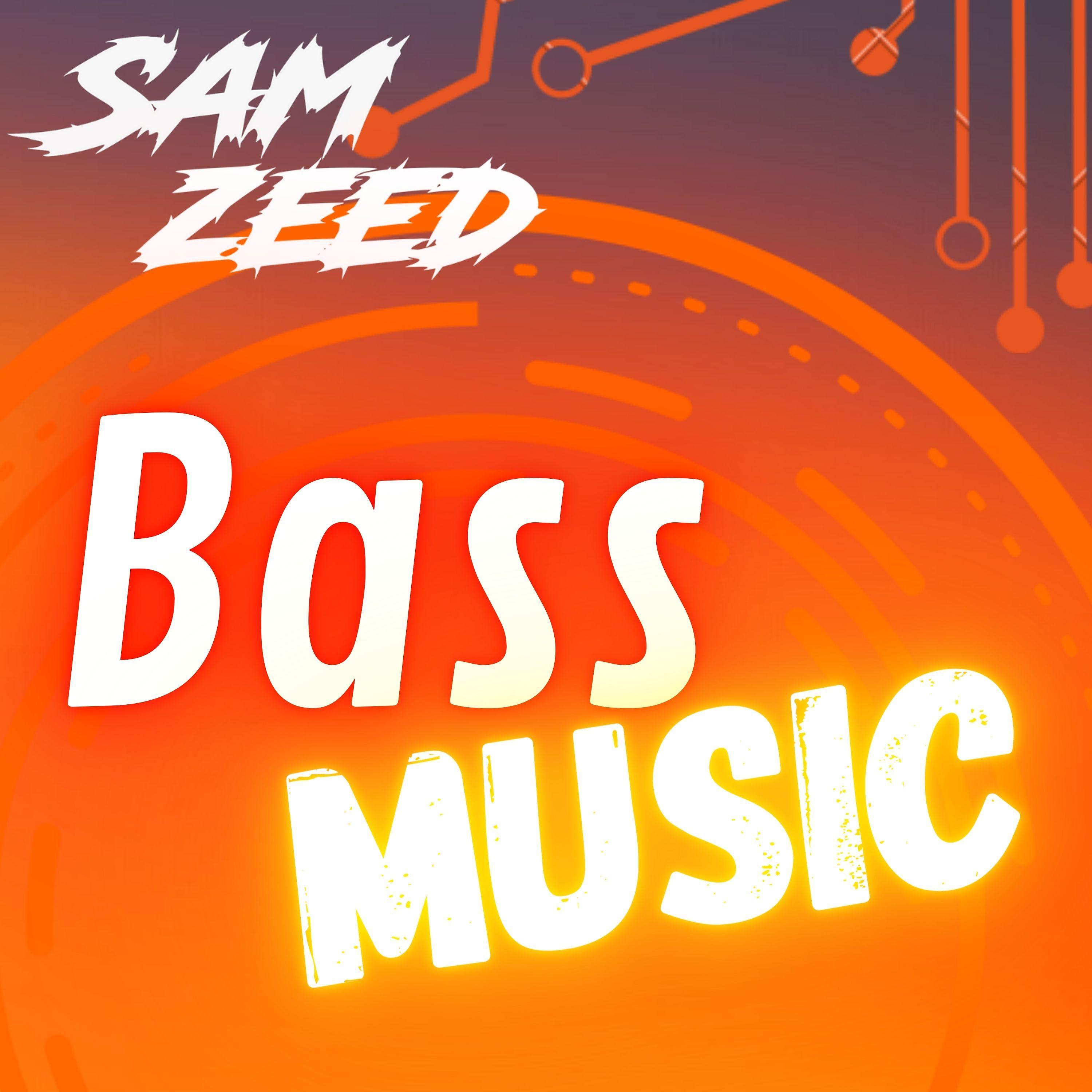Постер альбома Bass Music