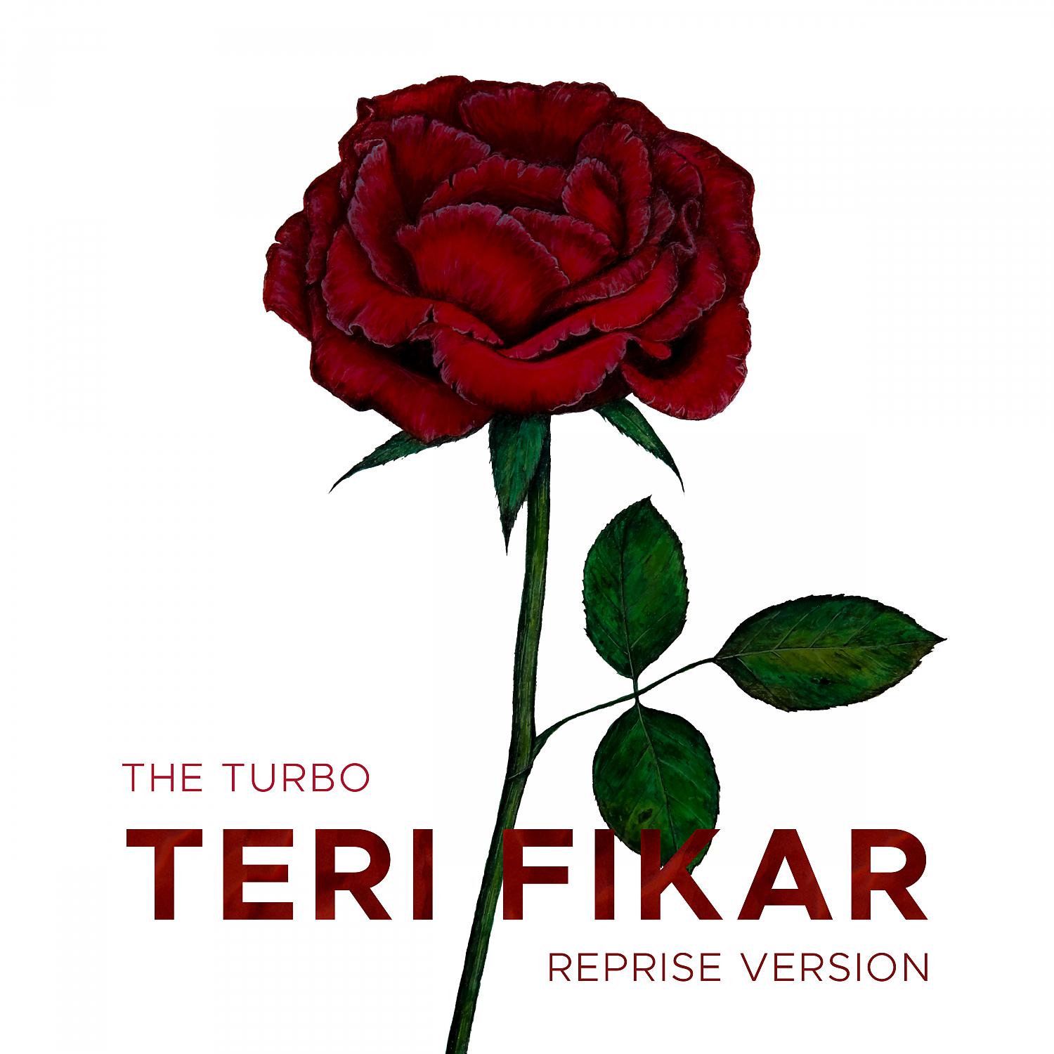 Постер альбома Teri Fikar (Reprise)