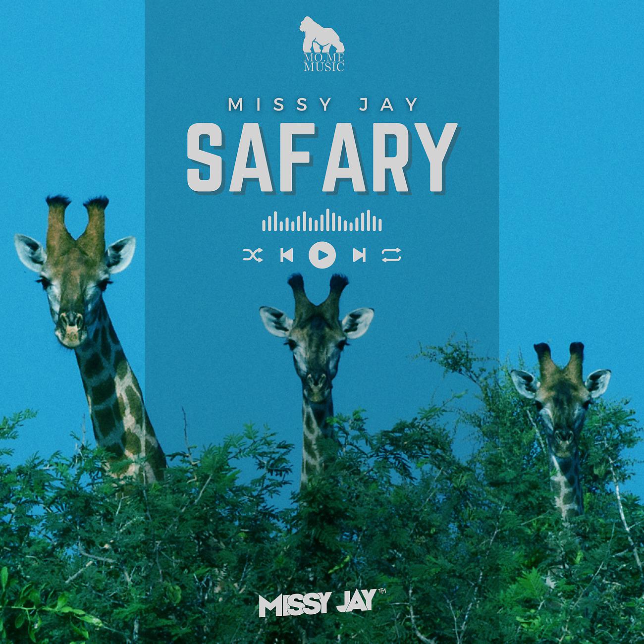 Постер альбома Safary