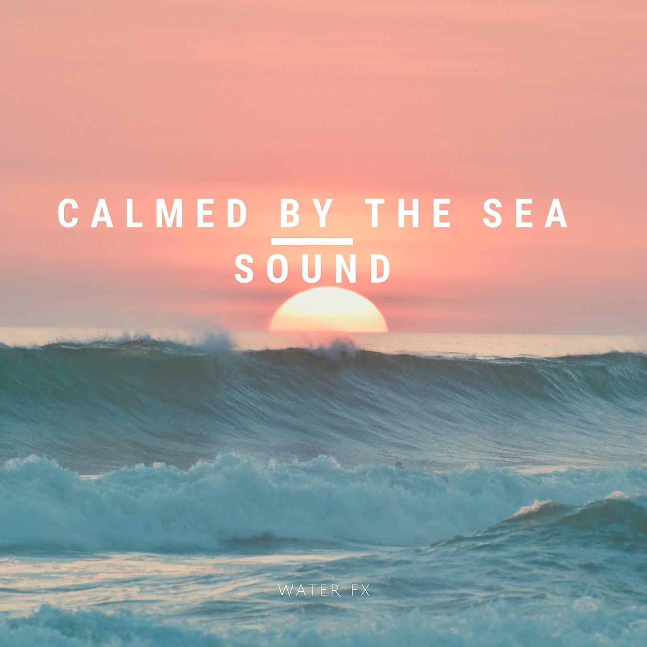 Постер альбома Calmed By The Sea Sound