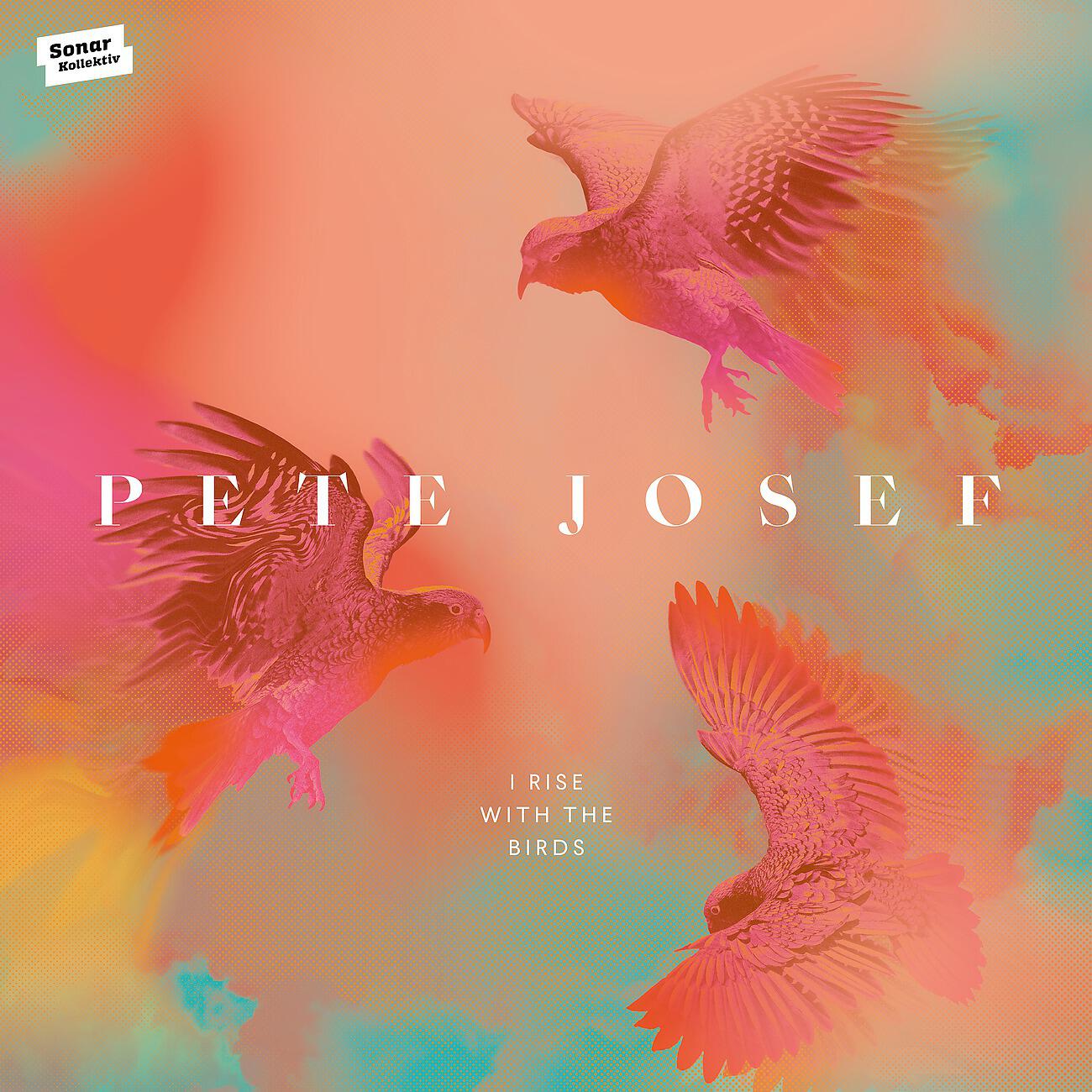 Pete Josef - Must Be in Love