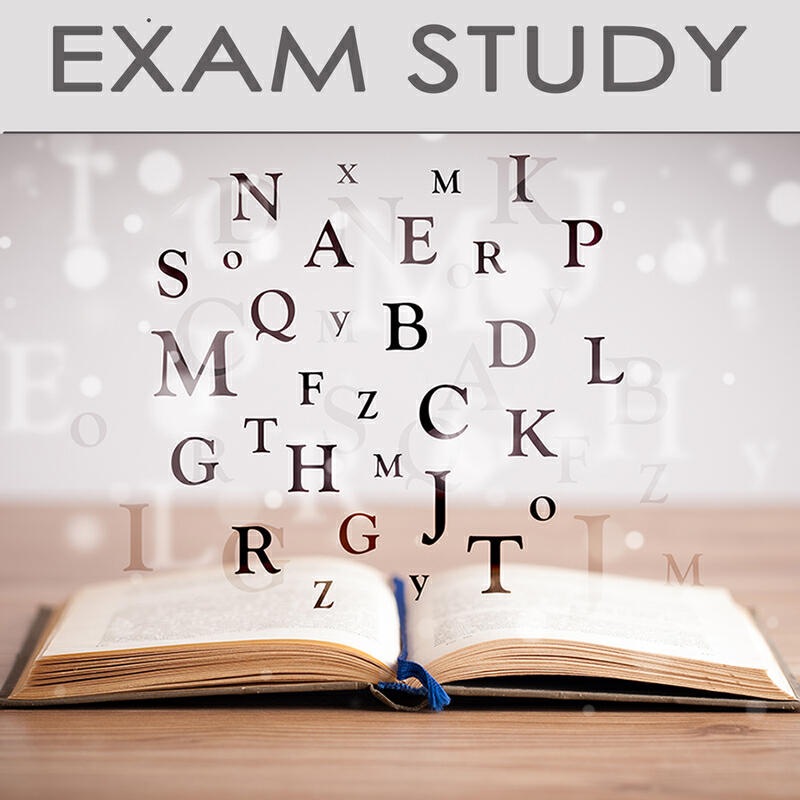 Exam Study Classical Music Orchestra - Piano Songs (Classic Music)