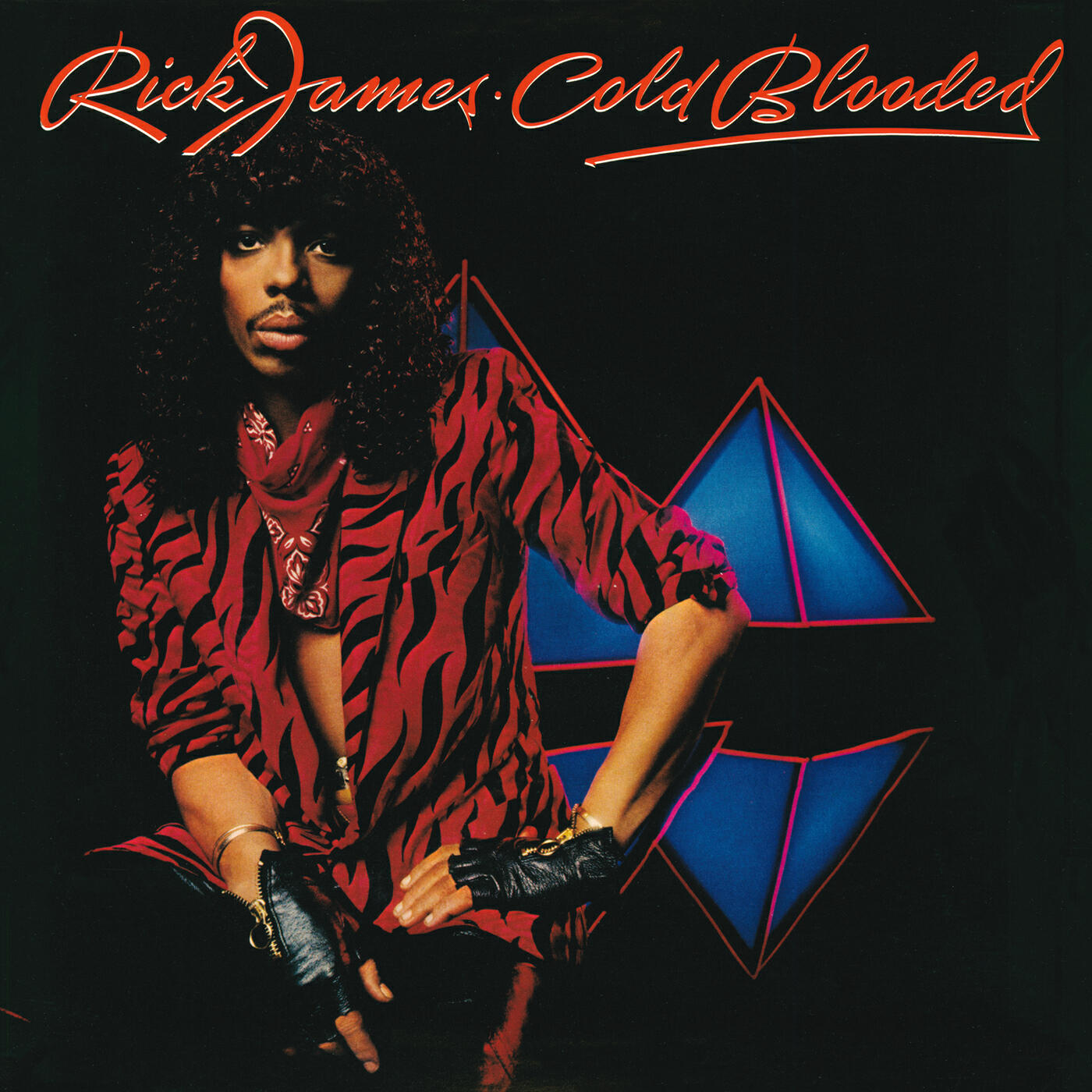 Rick James - P.I.M.P. The S.I.M.P.