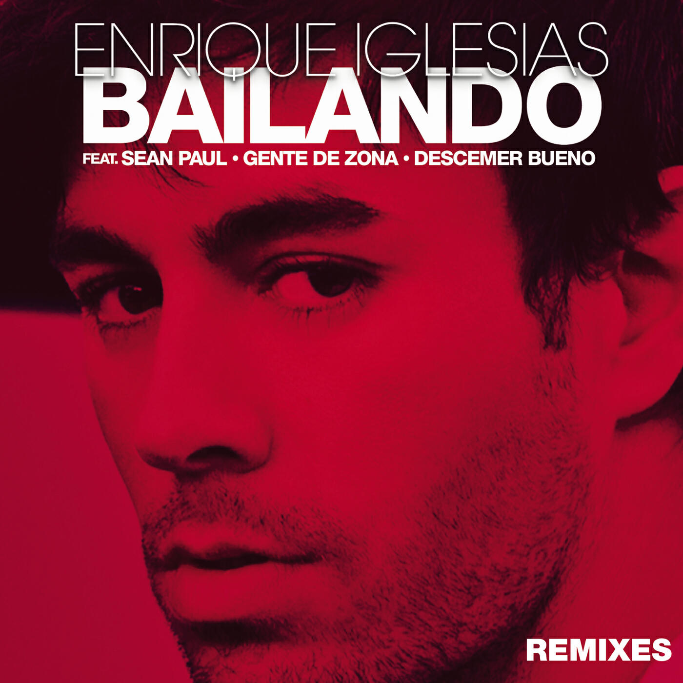 Enrique Iglesias - Bailando (Gregor Salto Remix)