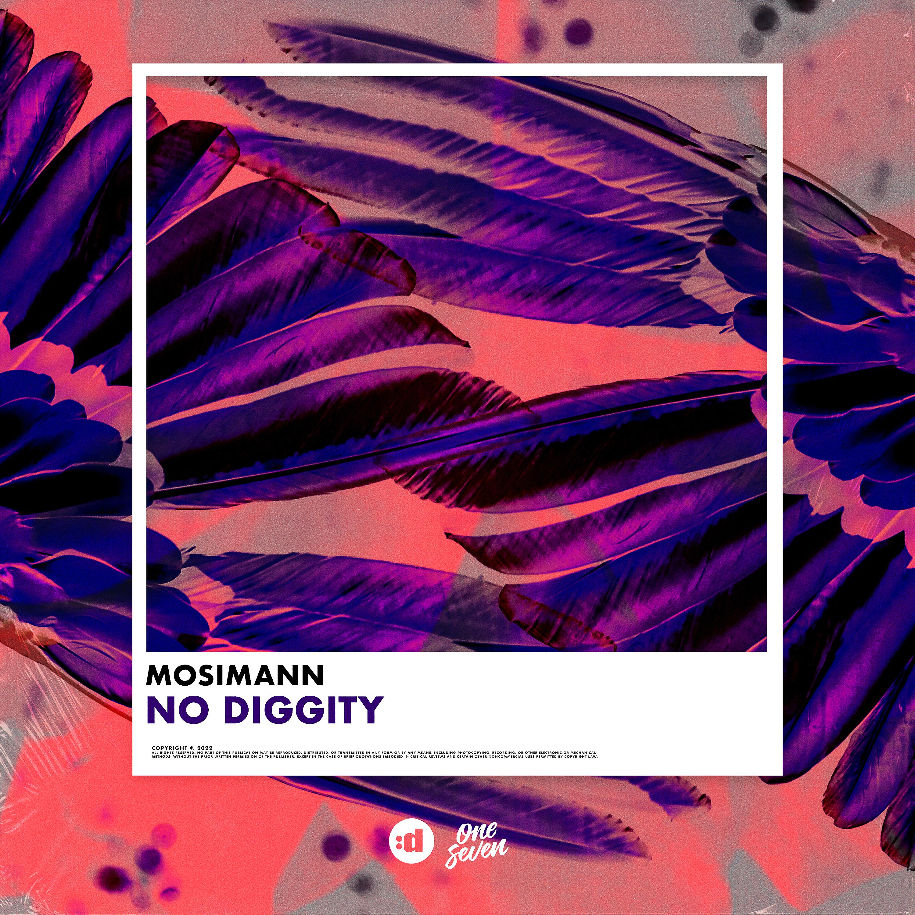 Постер альбома No Diggity