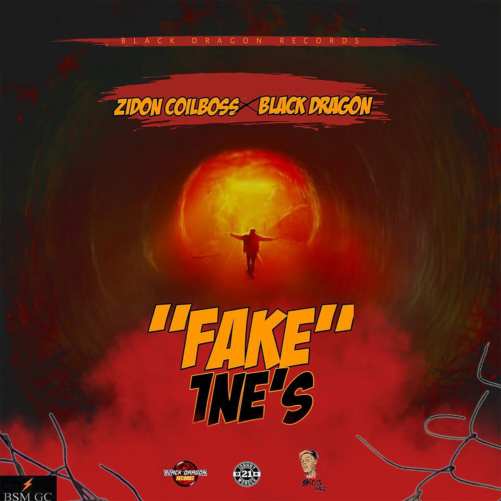 Постер альбома Fake 1ne's