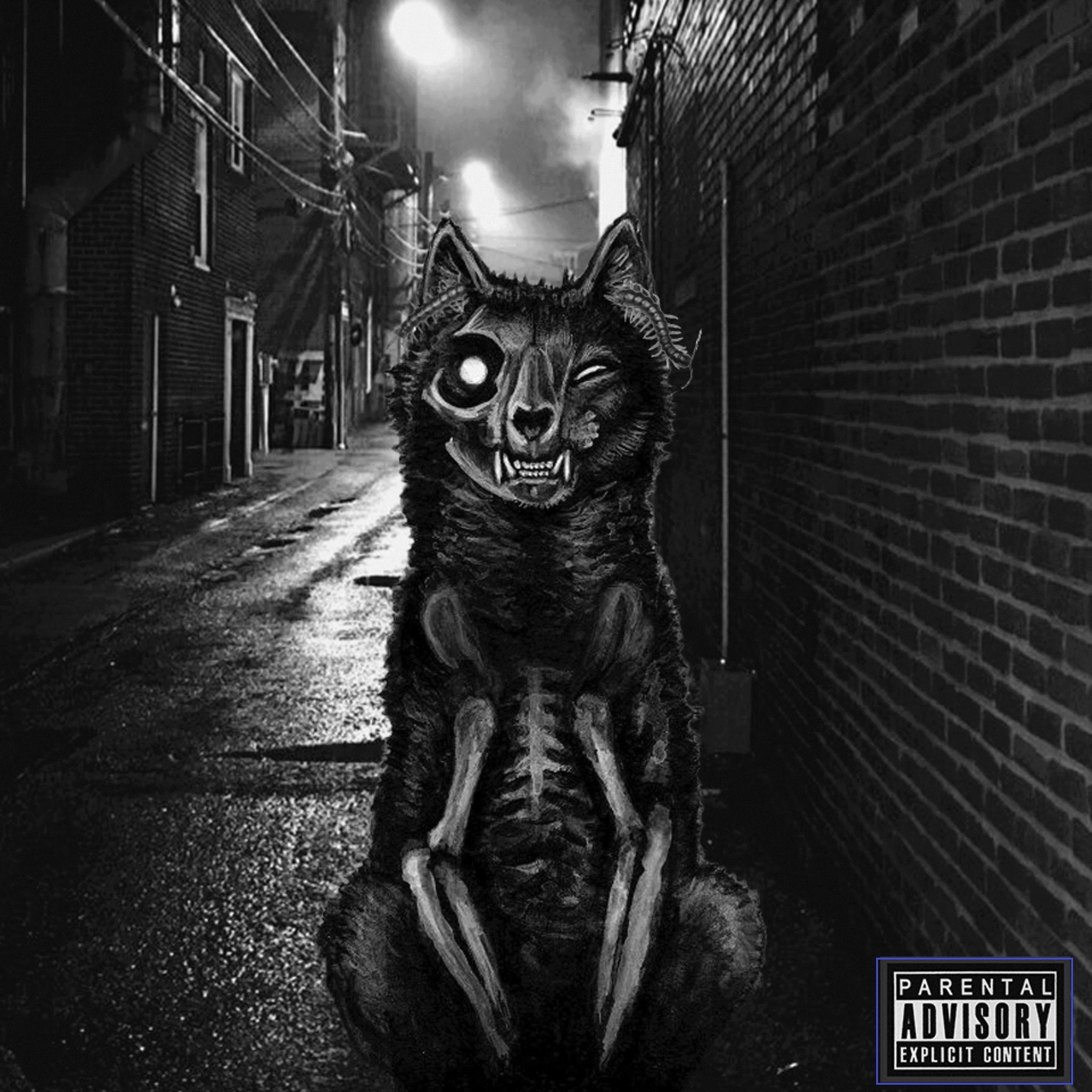 Постер альбома Чёрный кот
