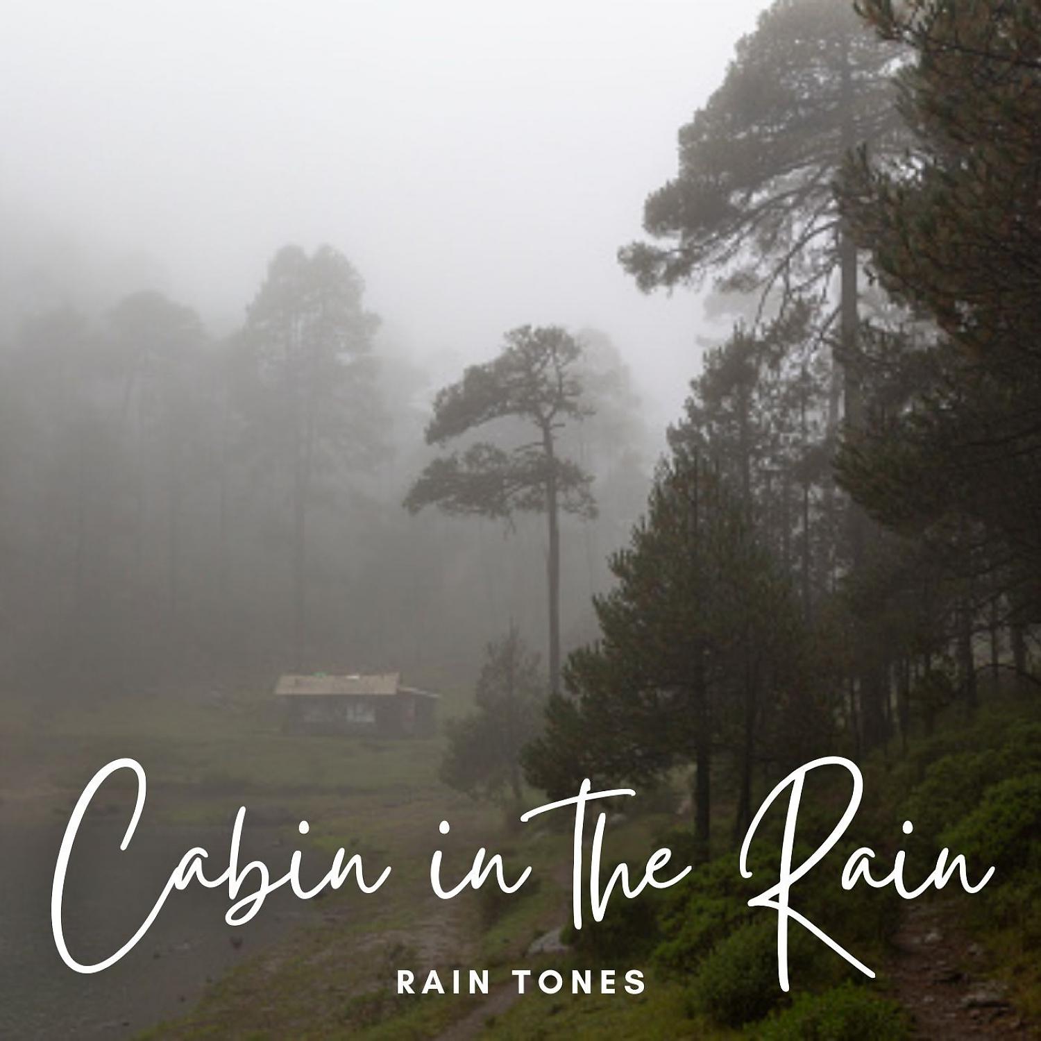 Постер альбома Rain Tones: Cabin in the Rain