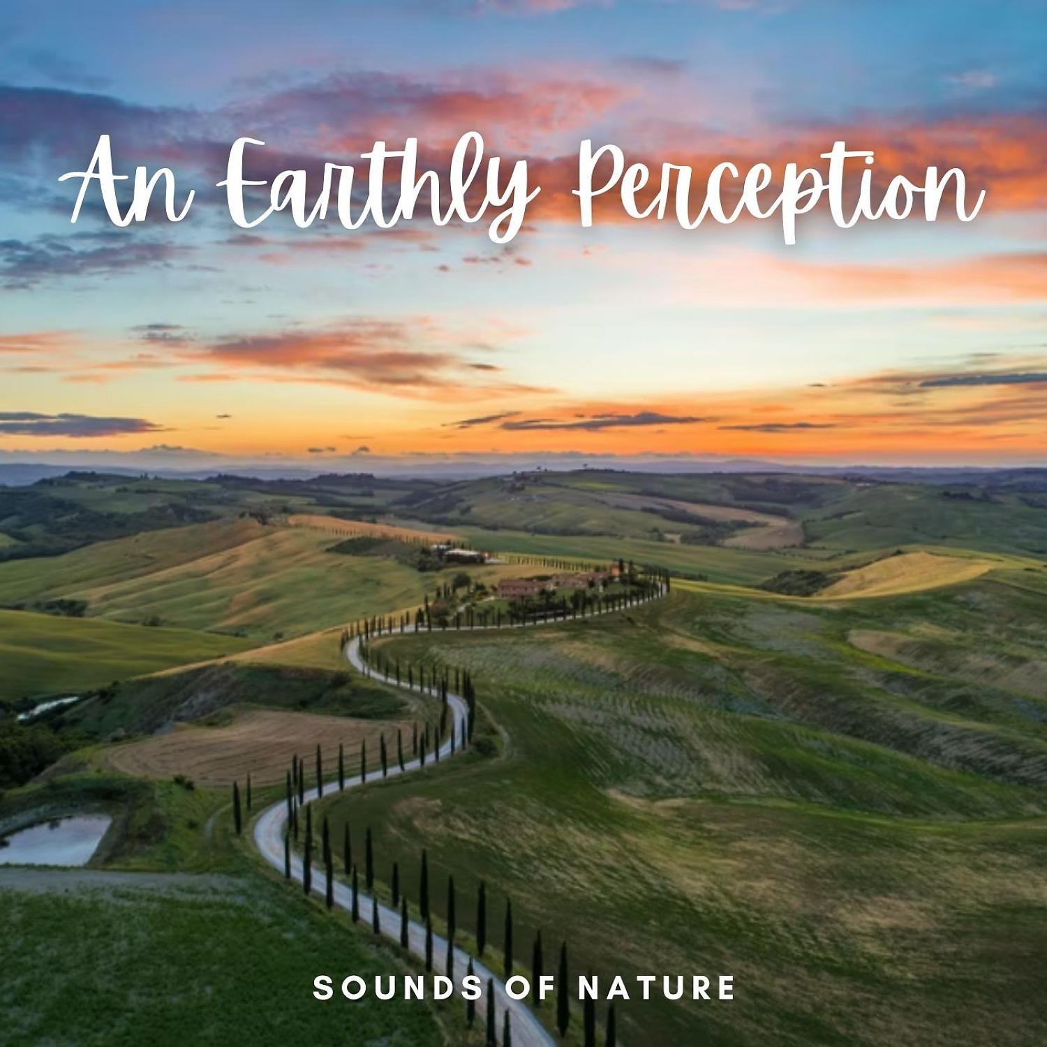 Постер альбома Sounds of Nature: An Earthly Perception