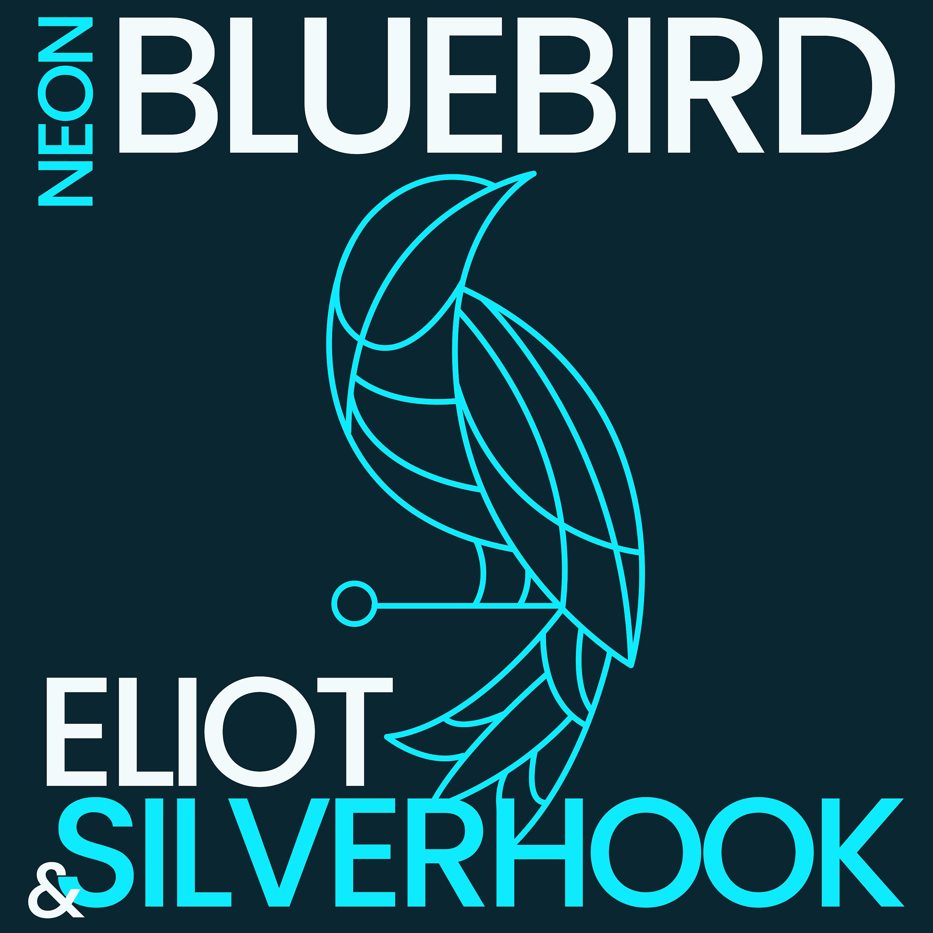 Постер альбома Neon Bluebird