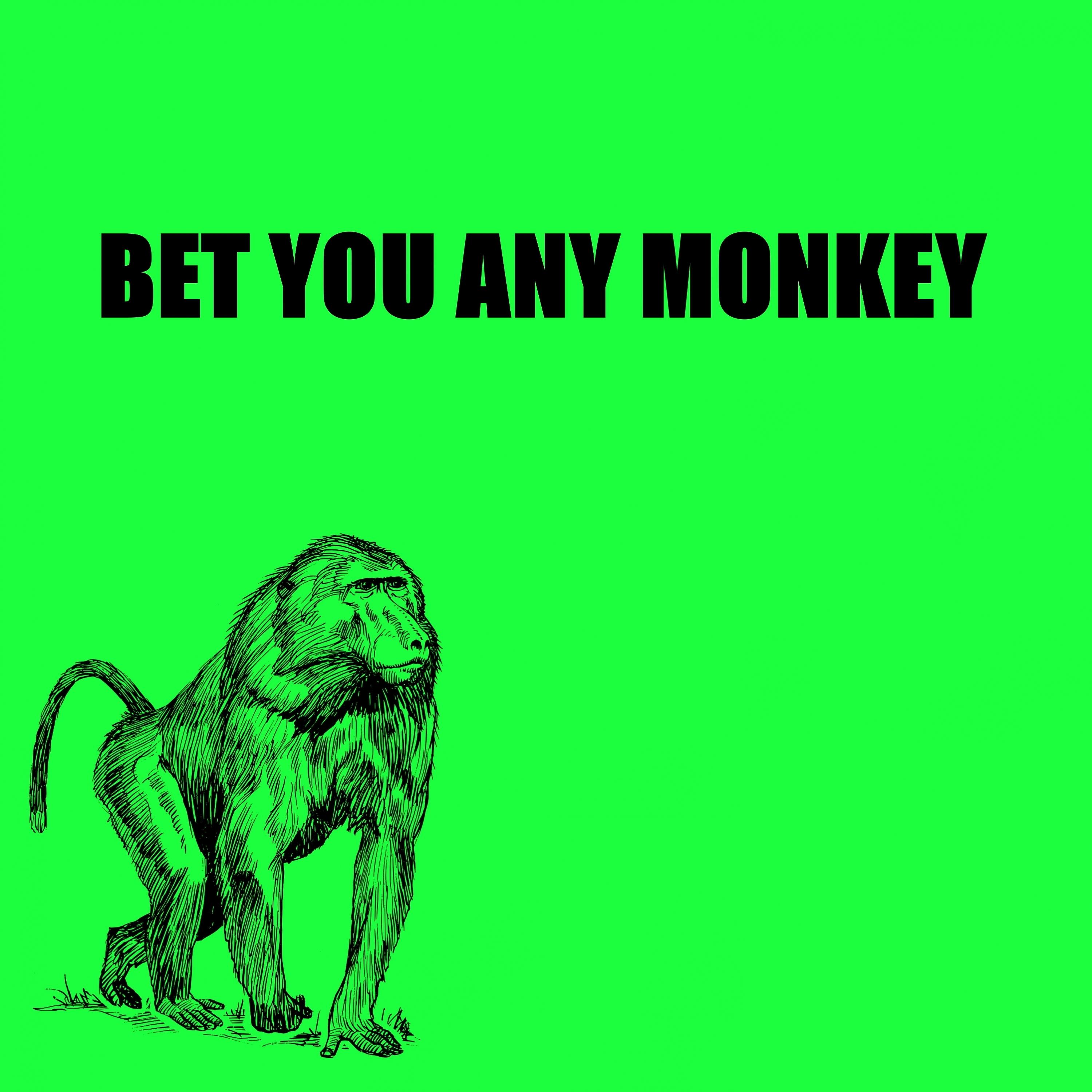 Постер альбома Bet You Any Monkey