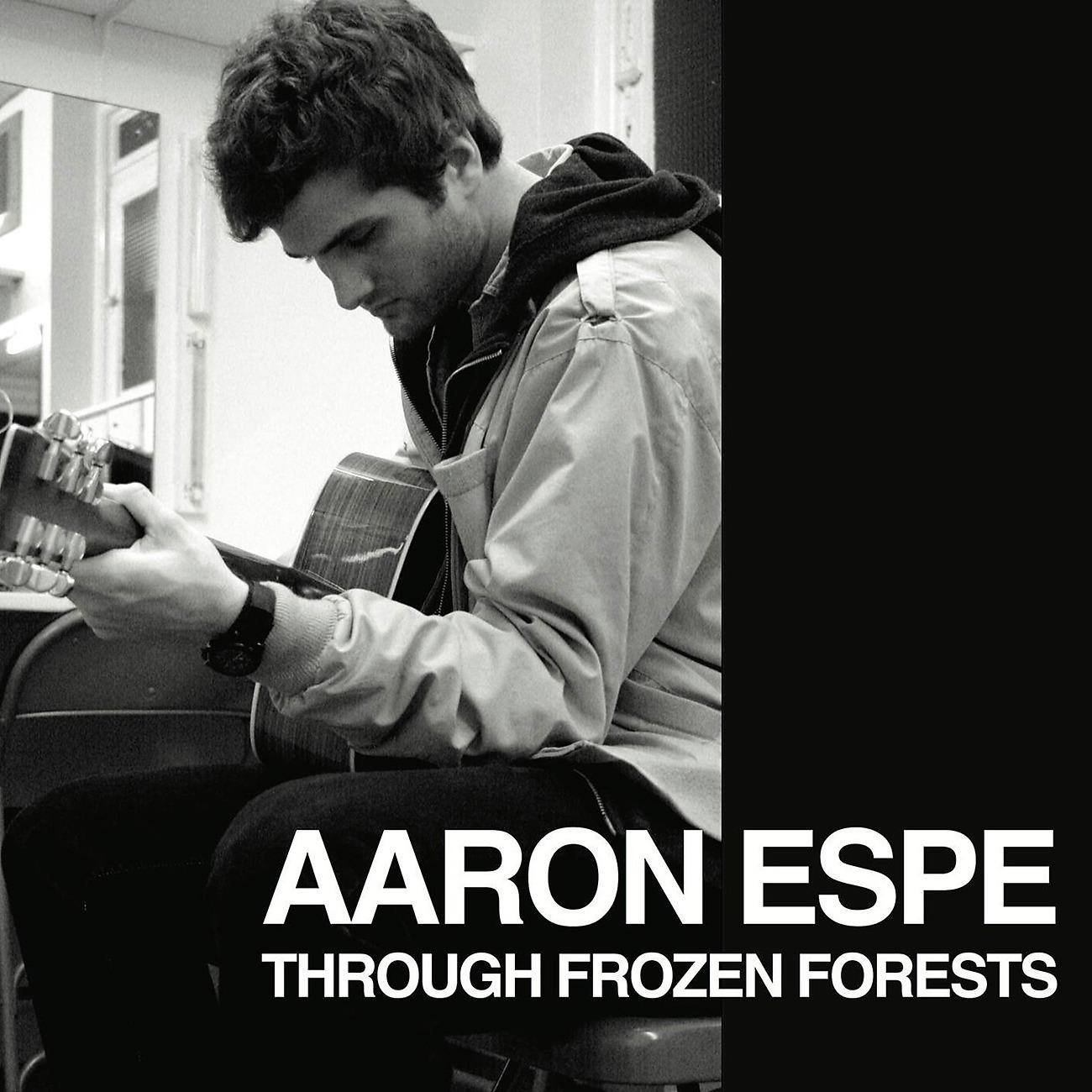 Постер альбома Through Frozen Forests